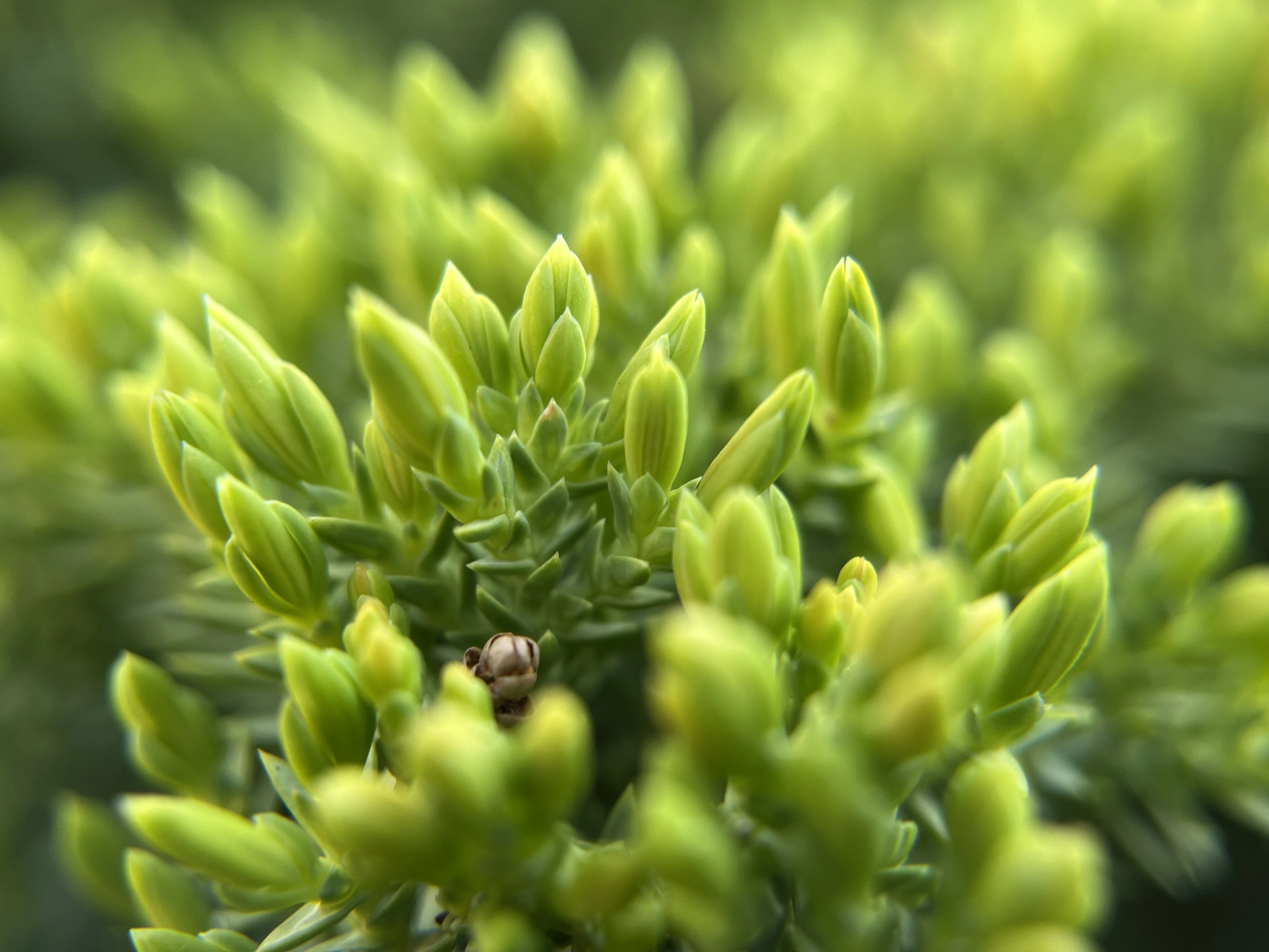 From the album: Nature