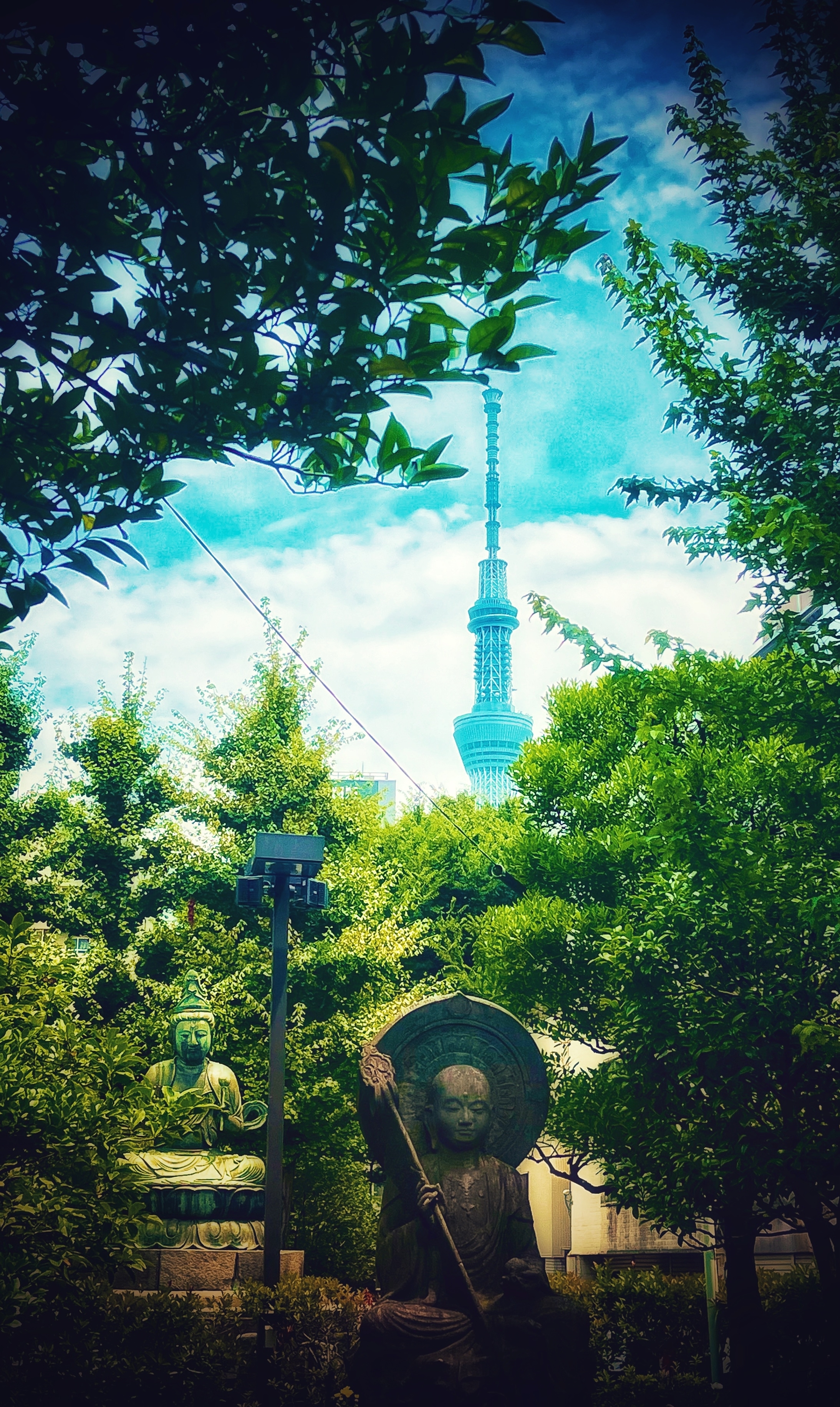 An image from the album: [Japan]