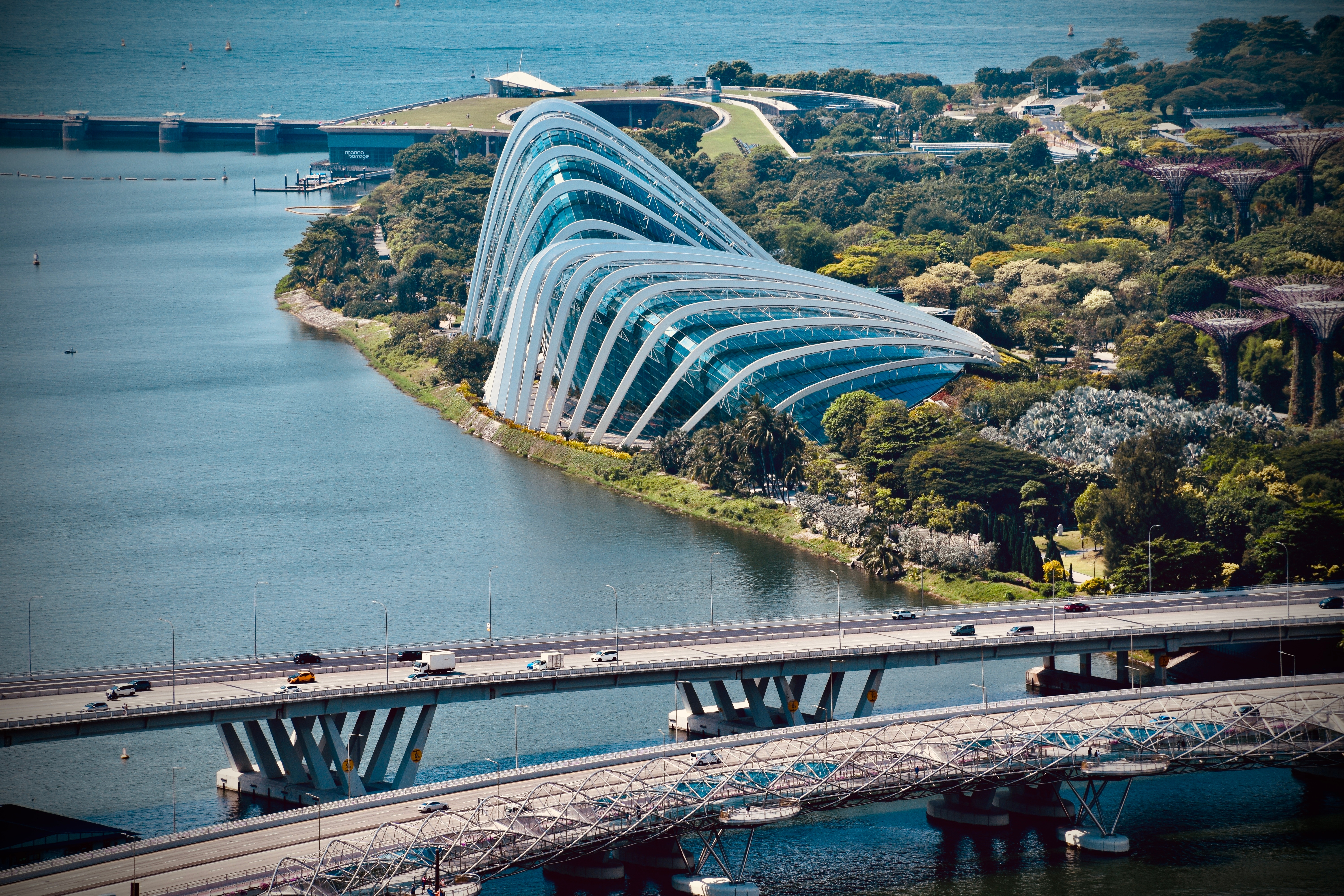 An image from the album: [Singapore]