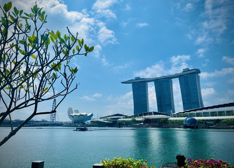 An image from the album: [Singapore]