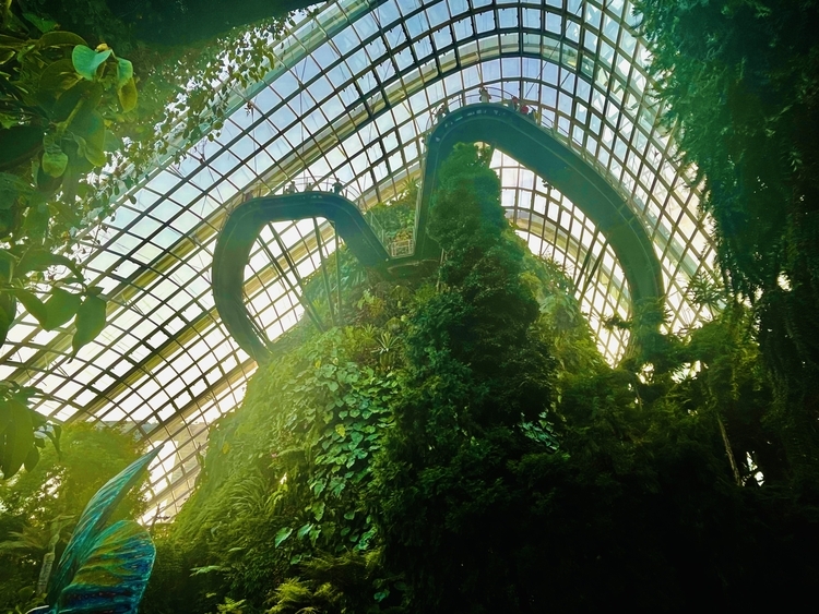 An image from the album: [Singapore]