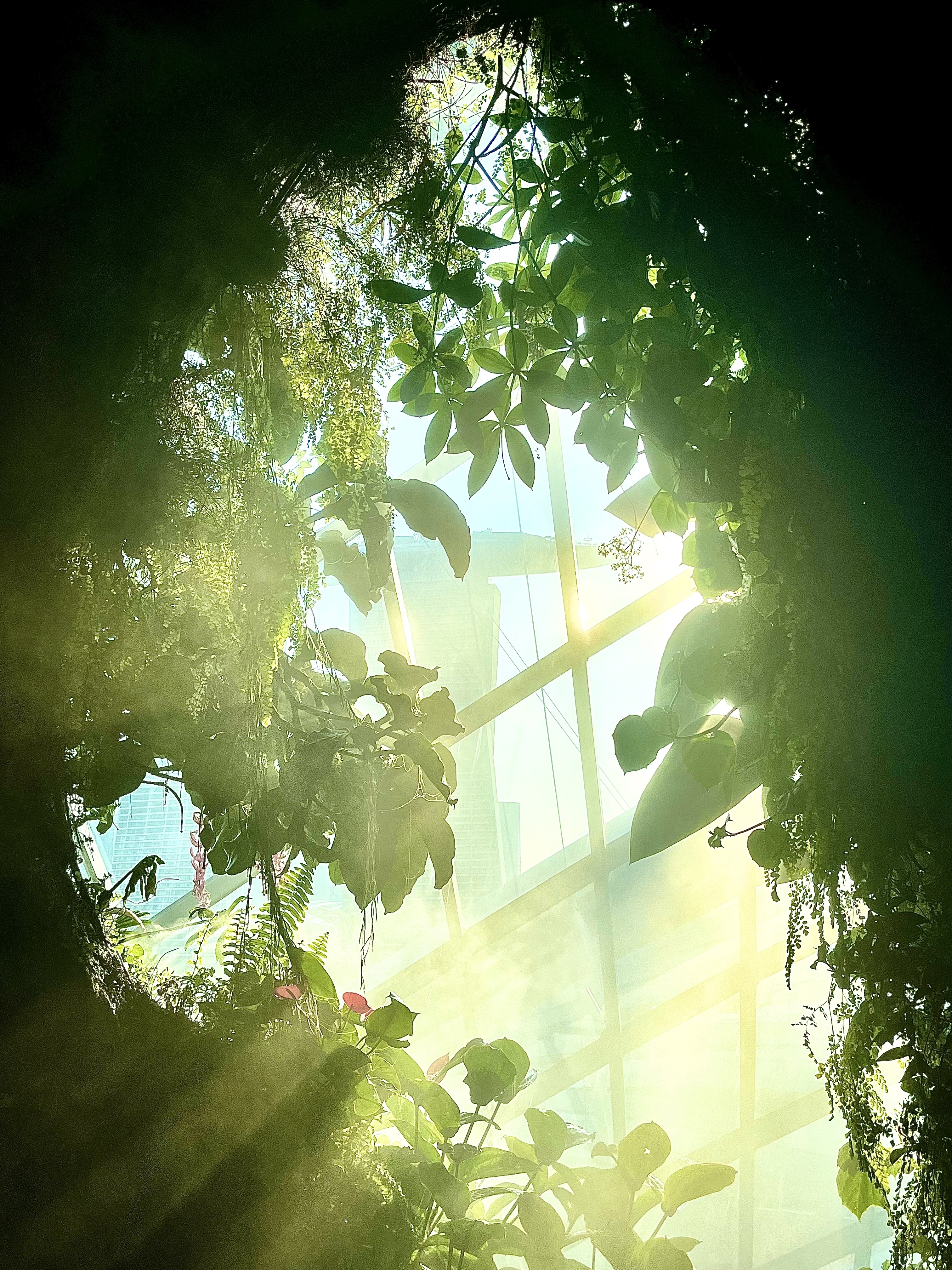 An image from the album: [Singapore]