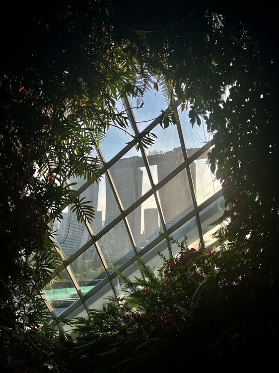 An image from the album: [Singapore]