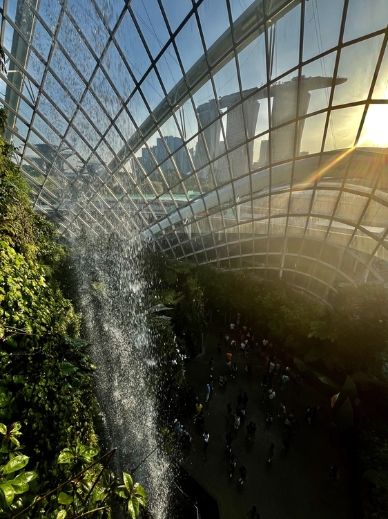 An image from the album: [Singapore]