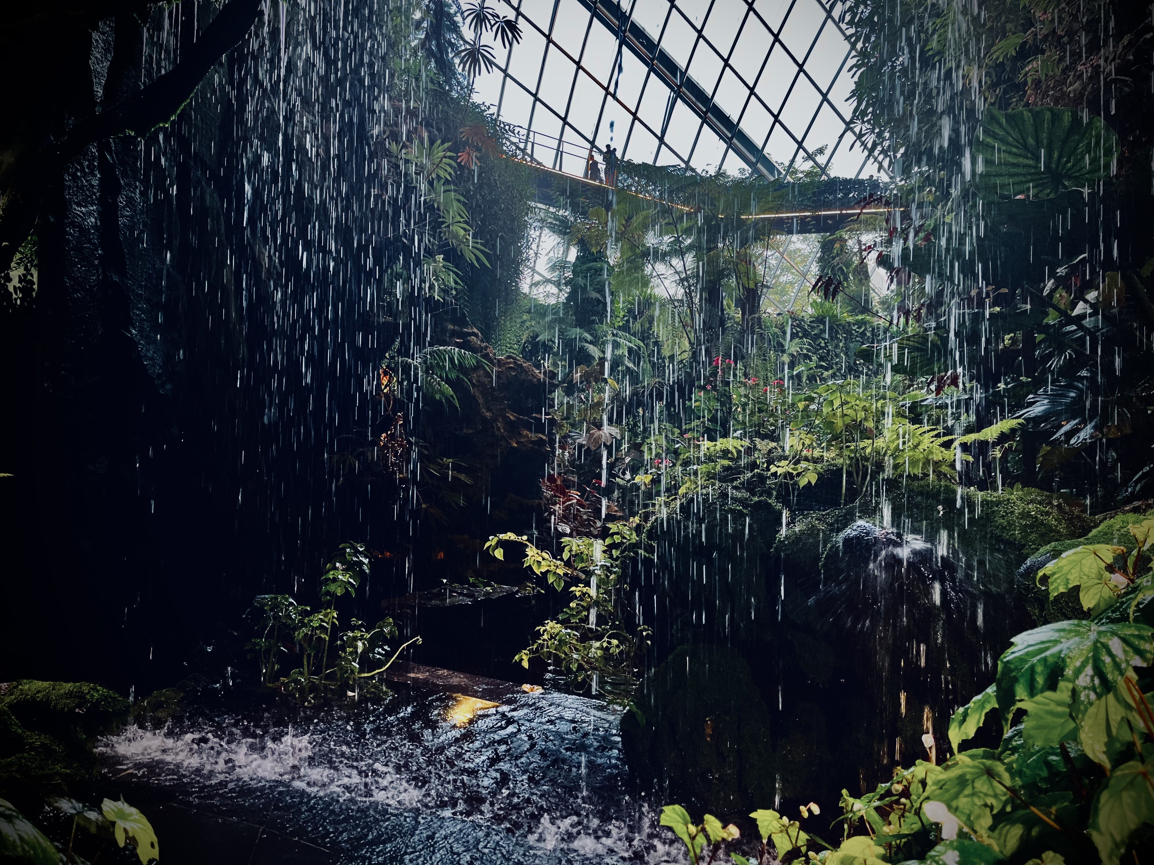 An image from the album: [Singapore]