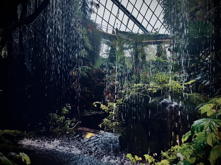 An image from the album: [Singapore]