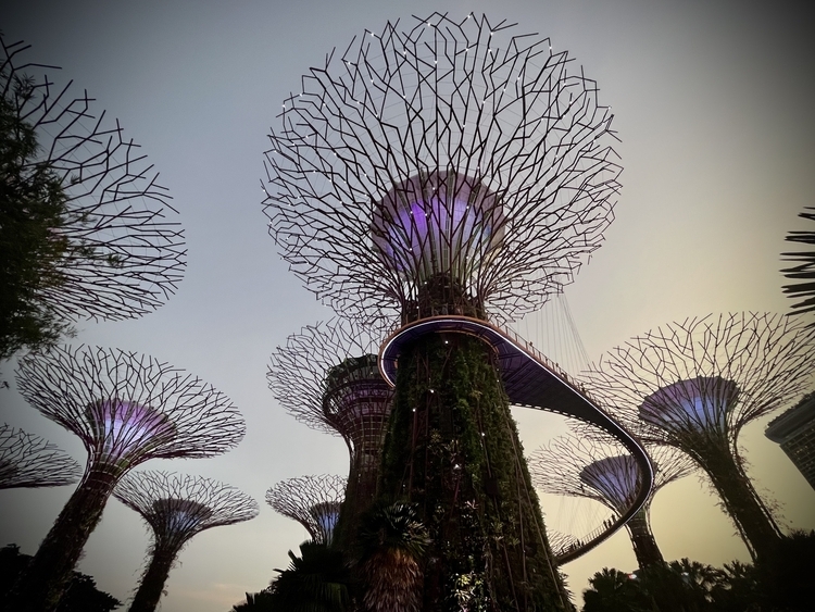 An image from the album: [Singapore]