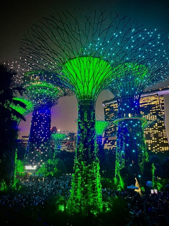 An image from the album: [Singapore]