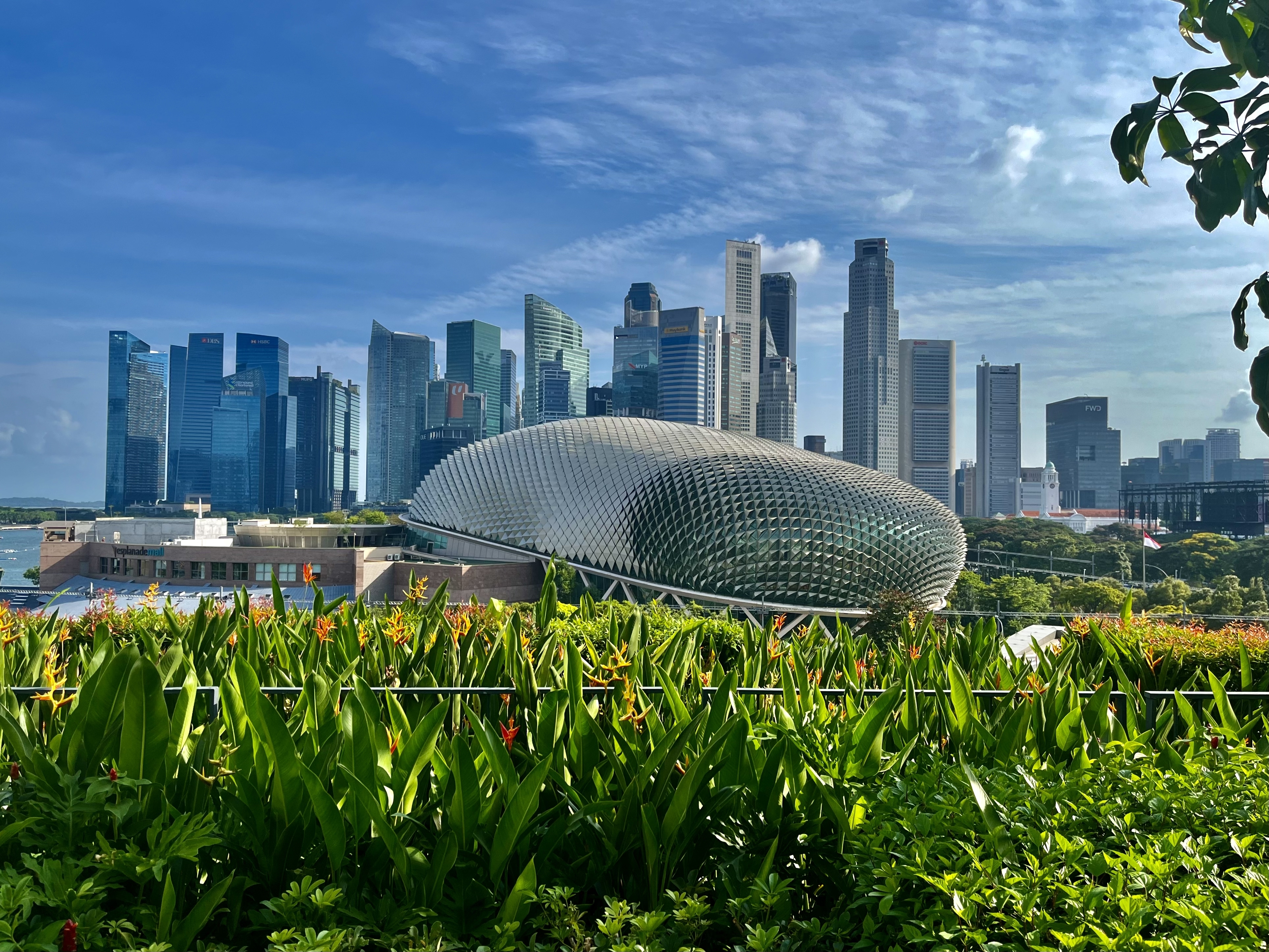 An image from the album: [Singapore]