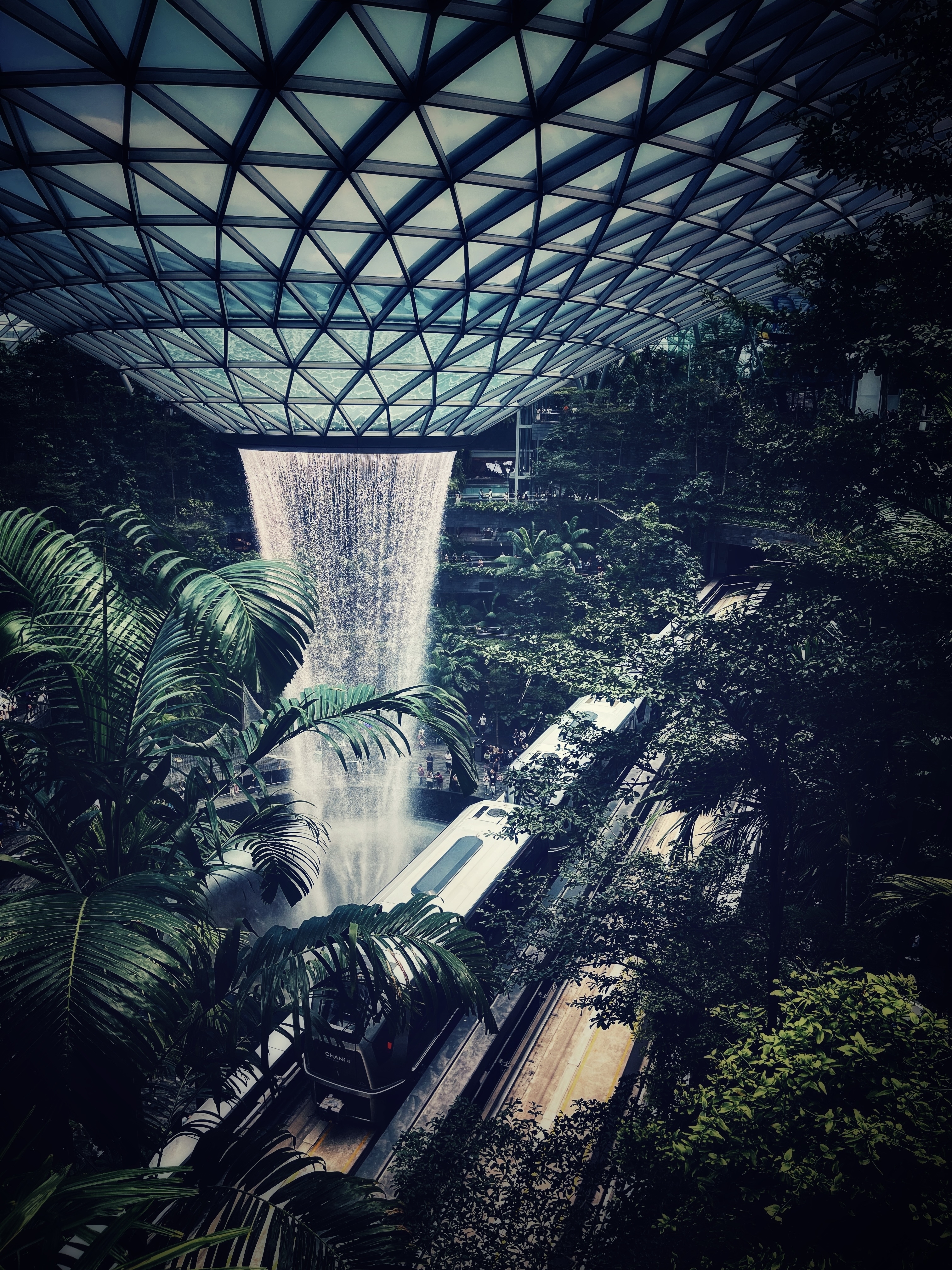 An image from the album: [Singapore]