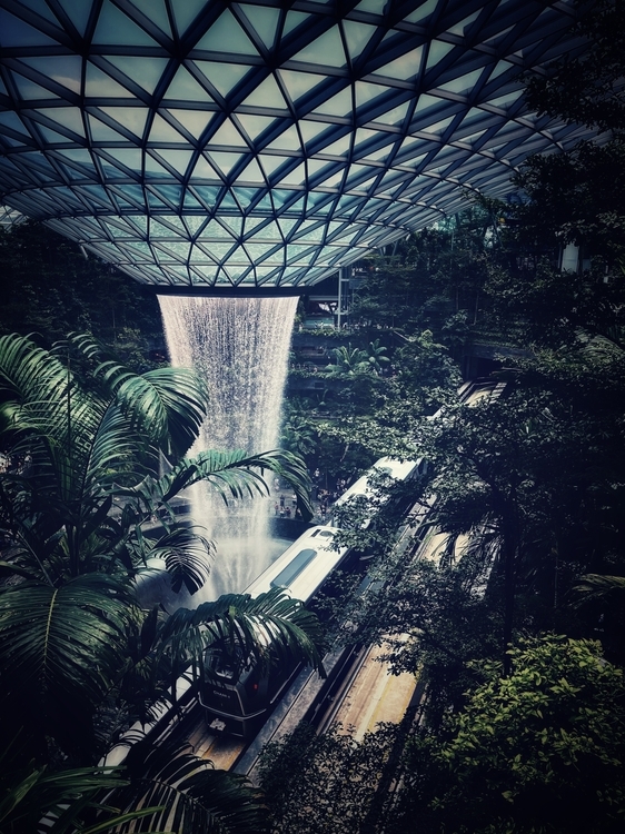 An image from the album: [Singapore]