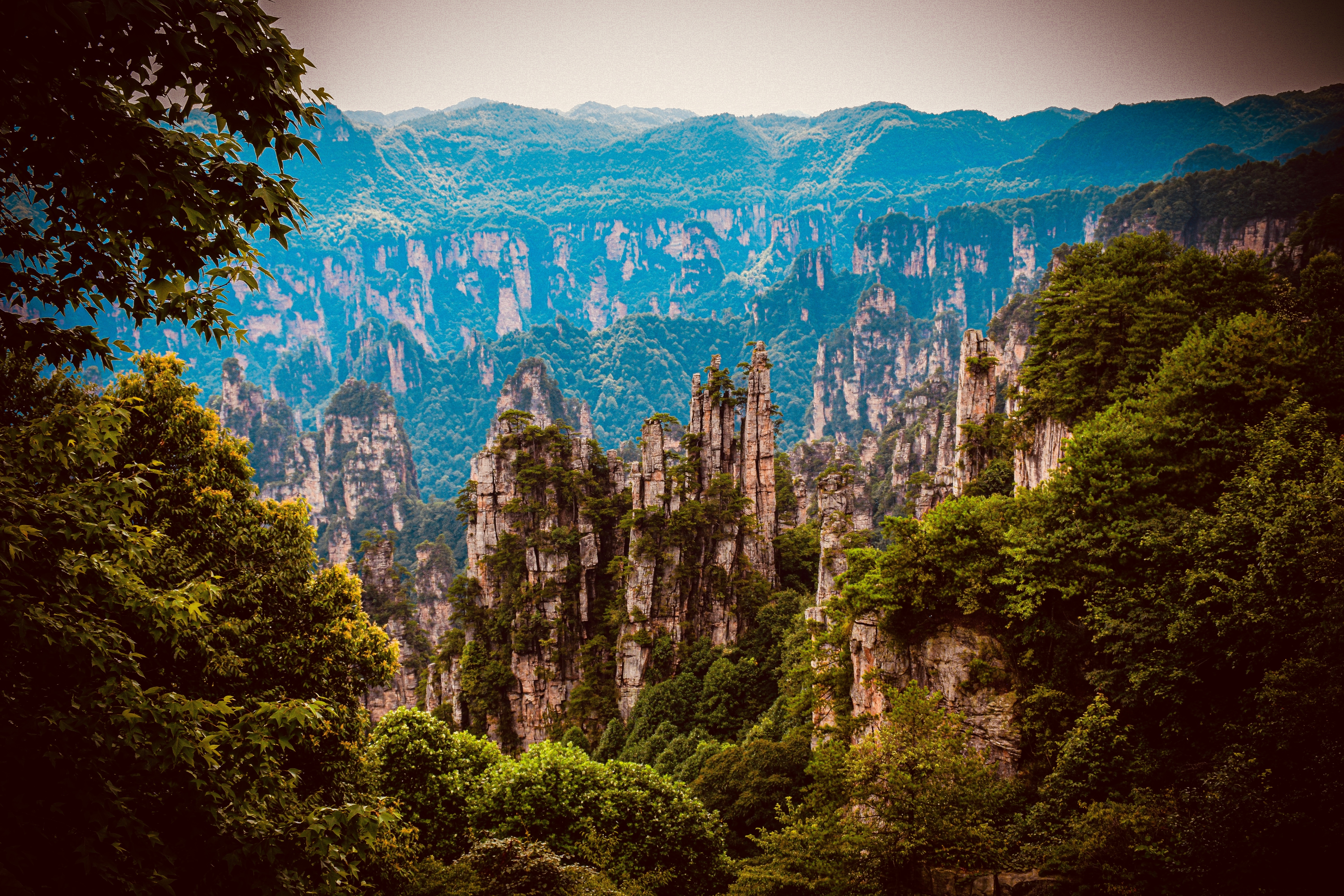 An image from the album: [Zhangjiajie]