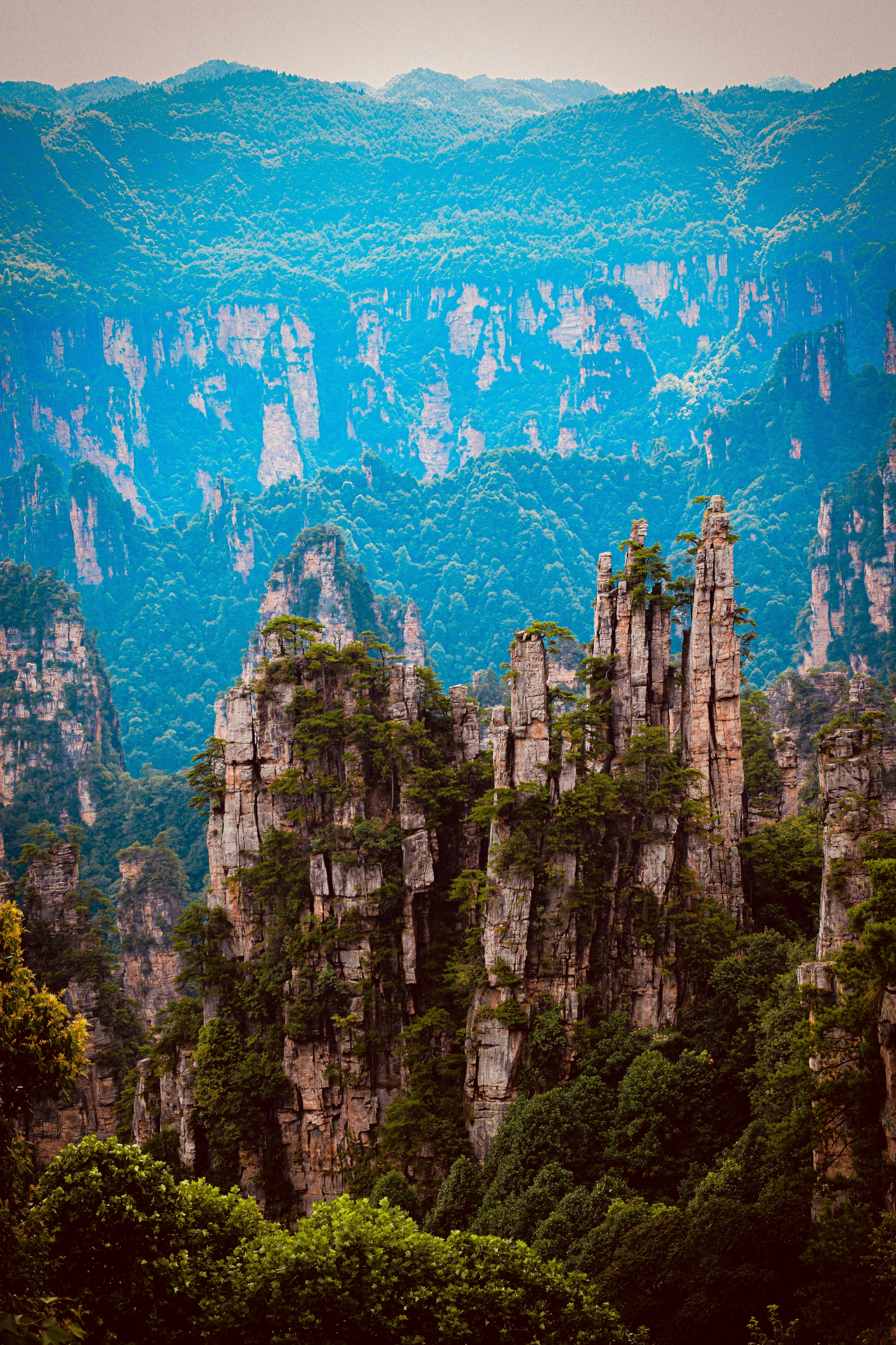 An image from the album: [Zhangjiajie]