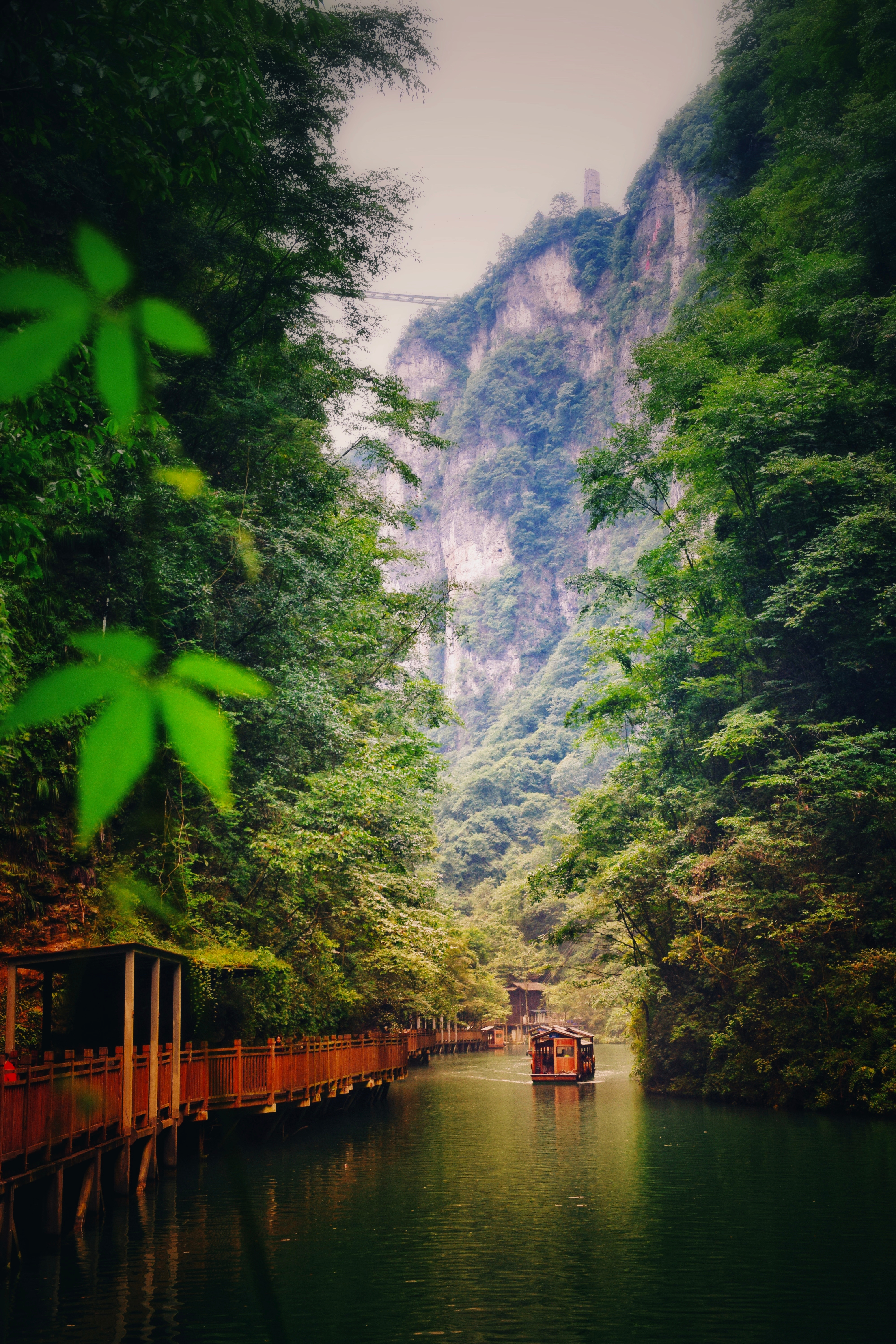 An image from the album: [Zhangjiajie]