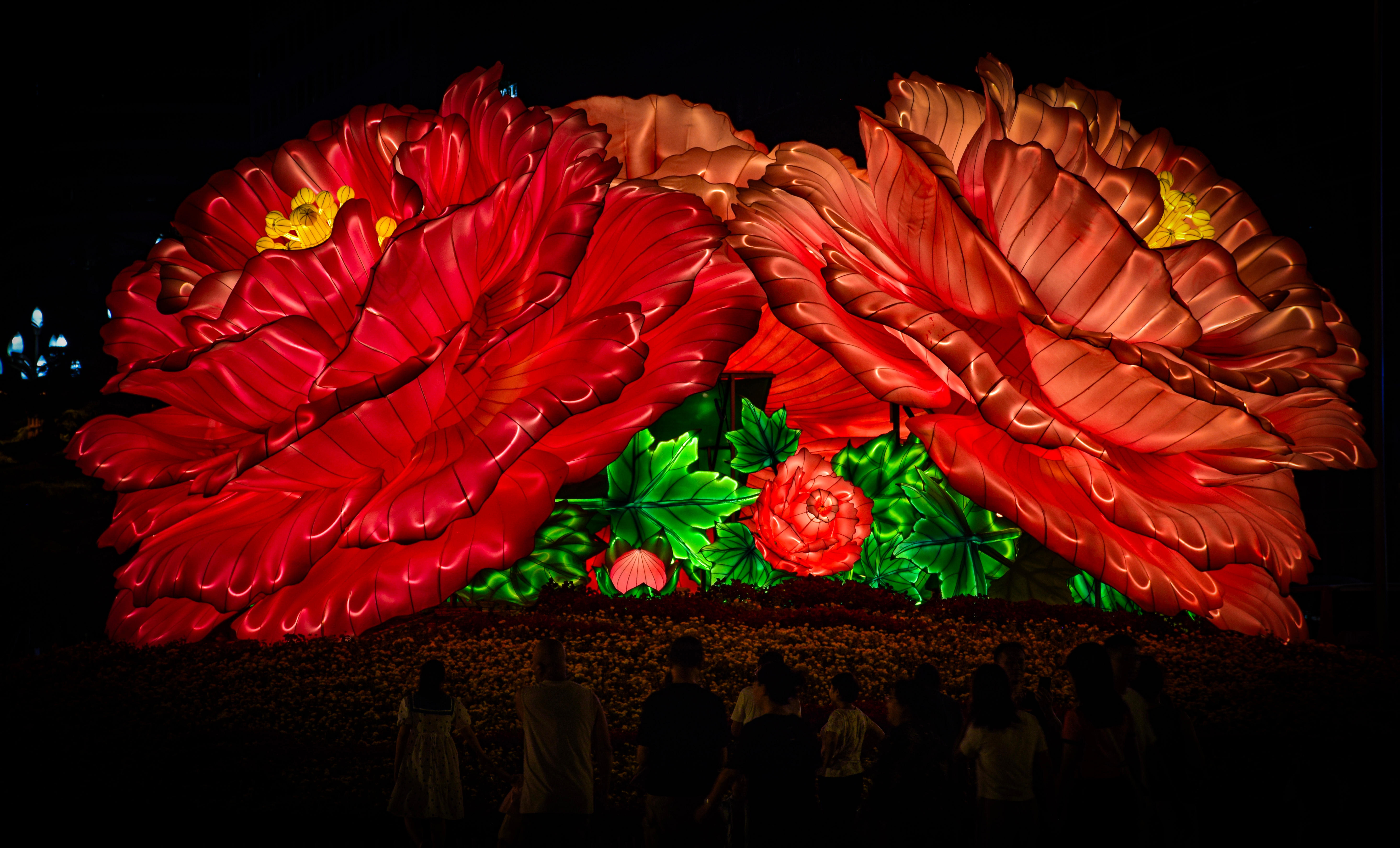 An image from the album: [Chengdu]