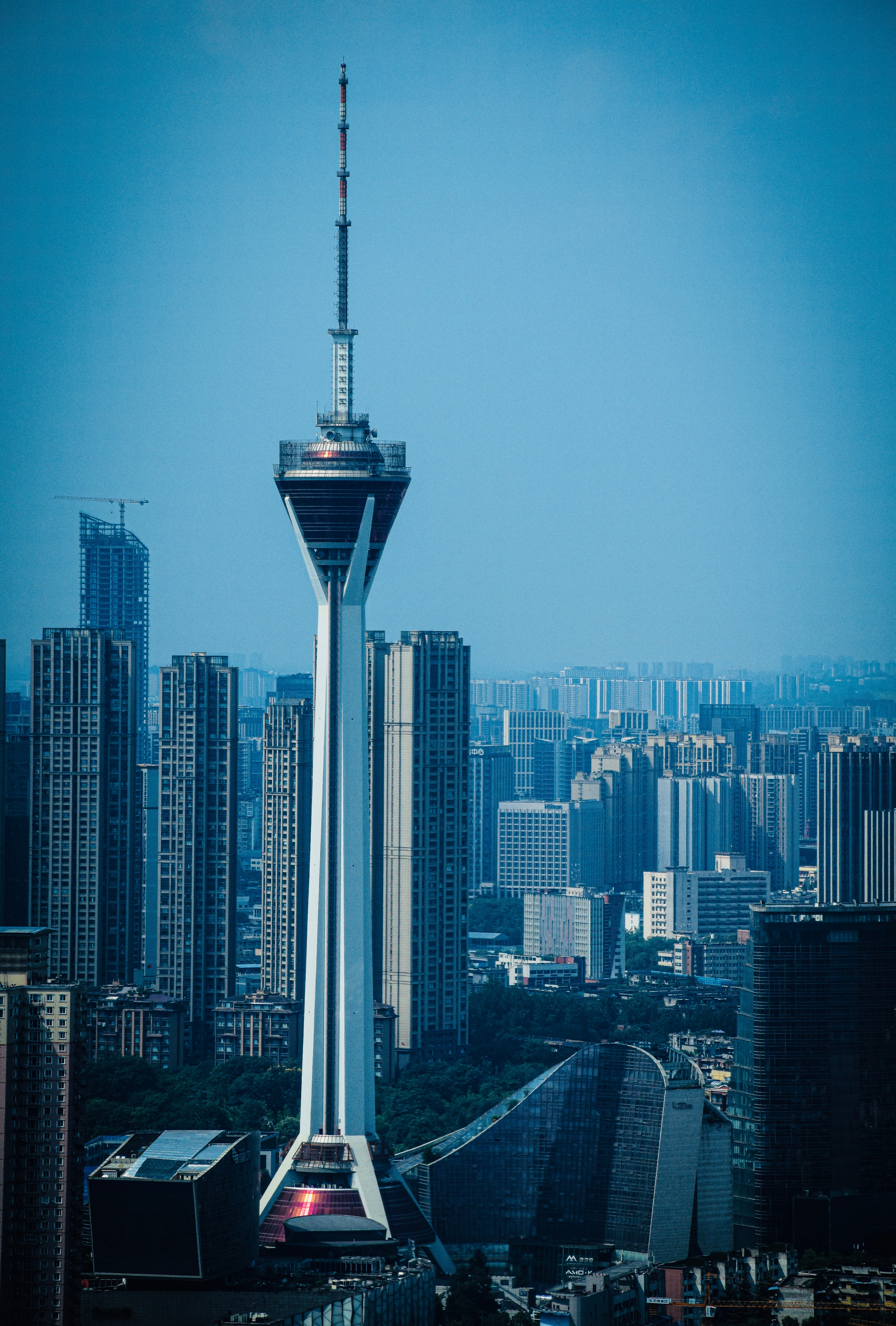 An image from the album: [Chengdu]