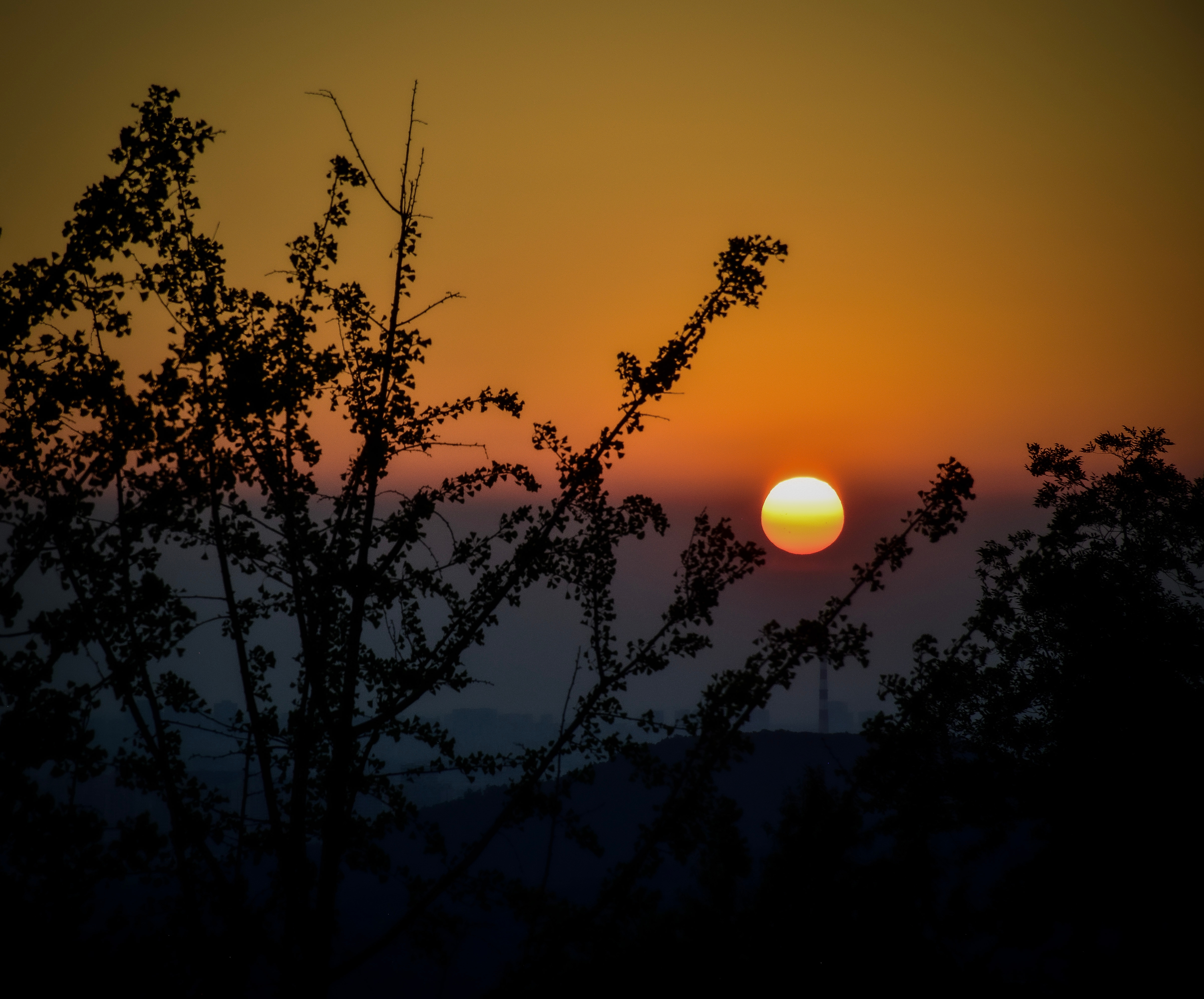 An image from the album: [Nanjing]