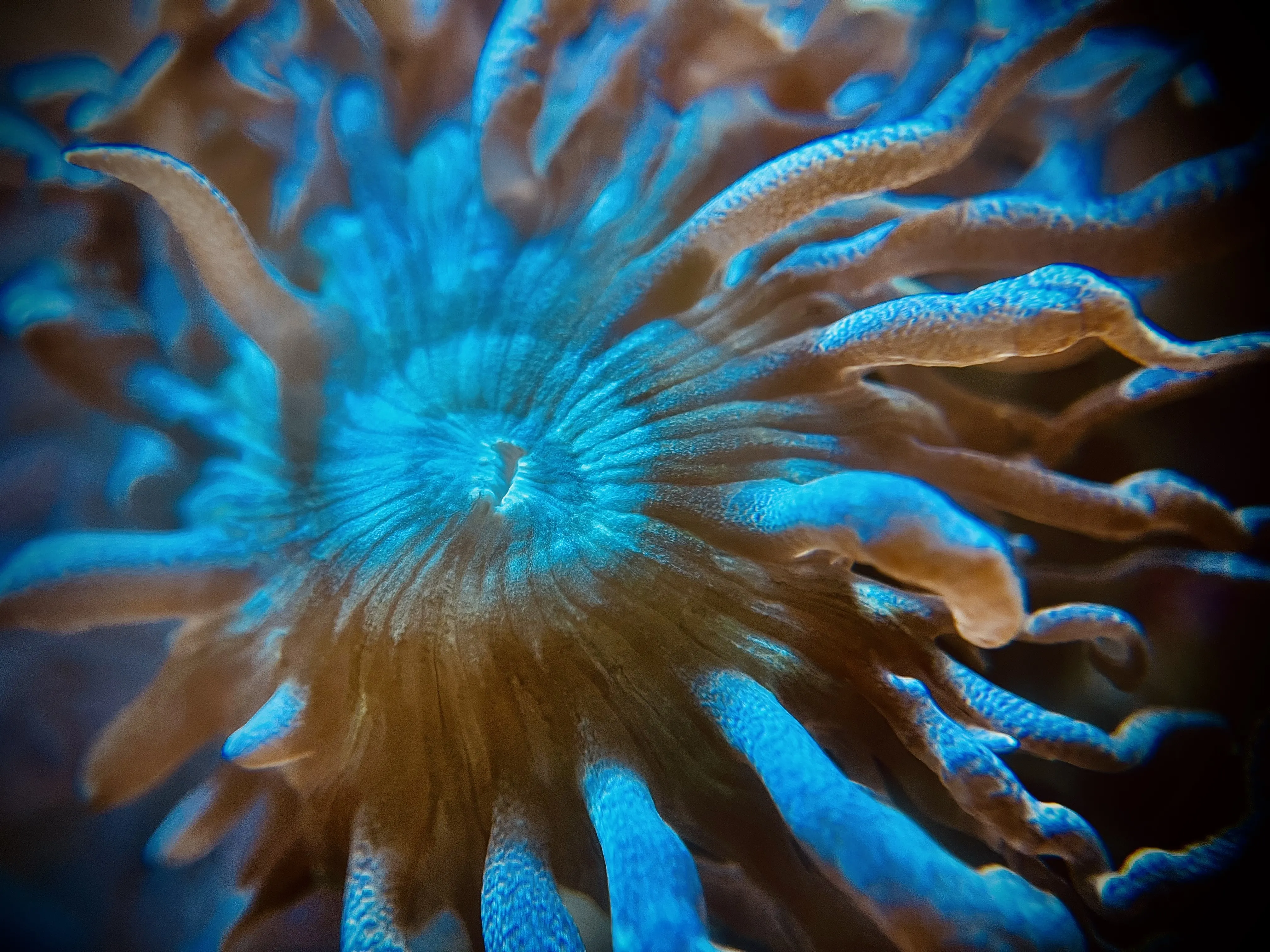 From the album: Aquaria