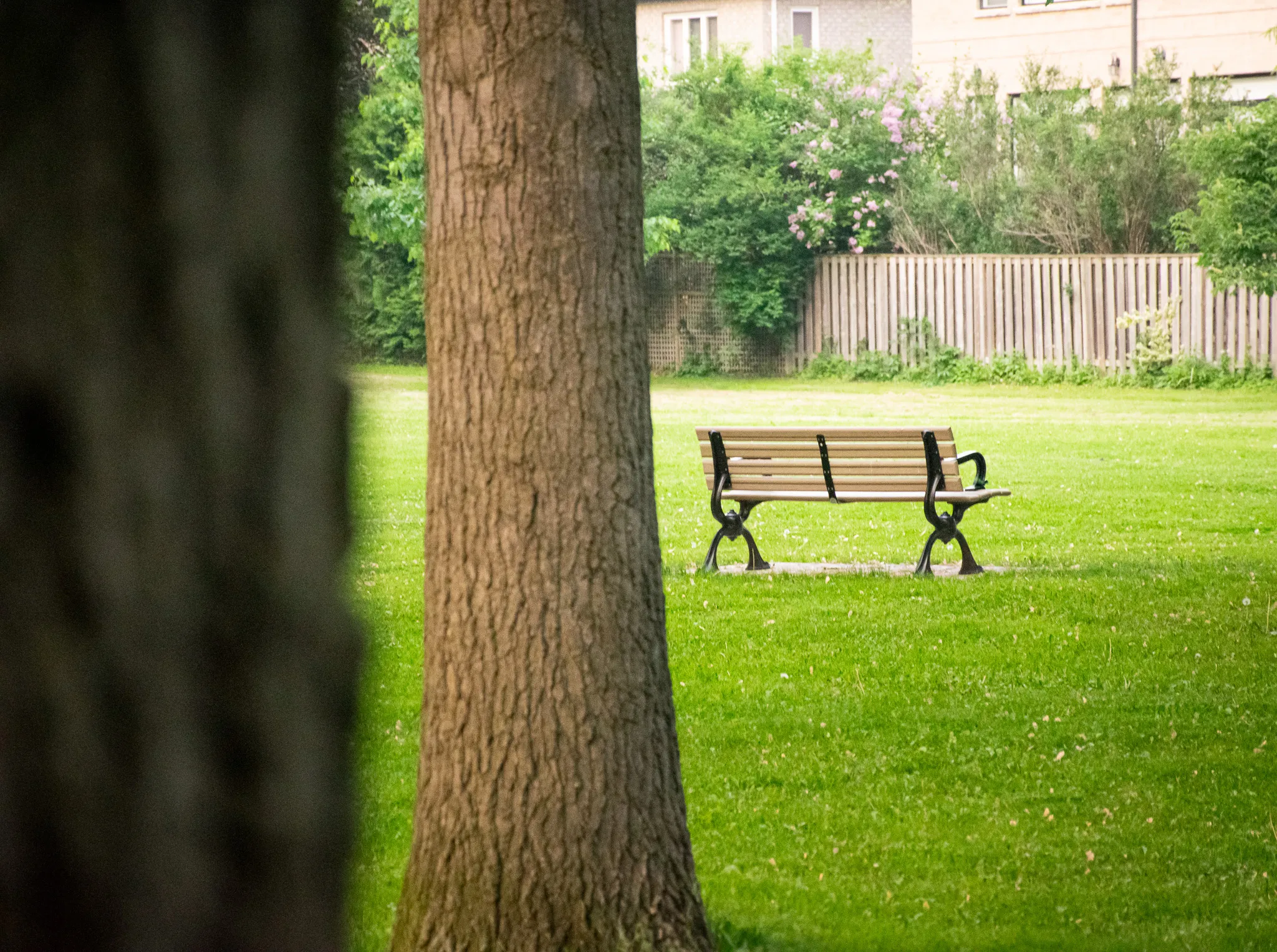 From the album: Nature