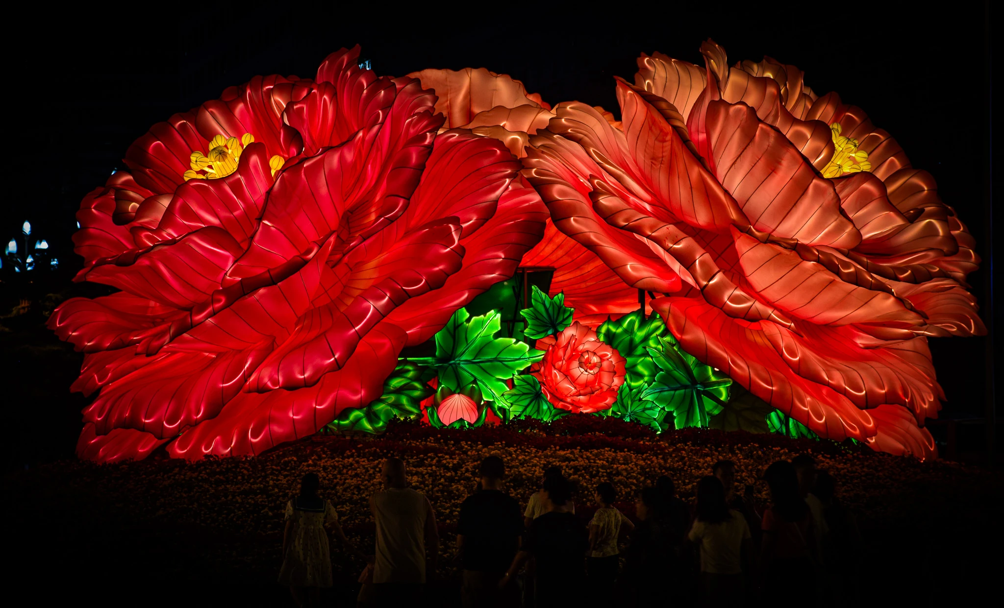 An image from the album: [Chengdu]