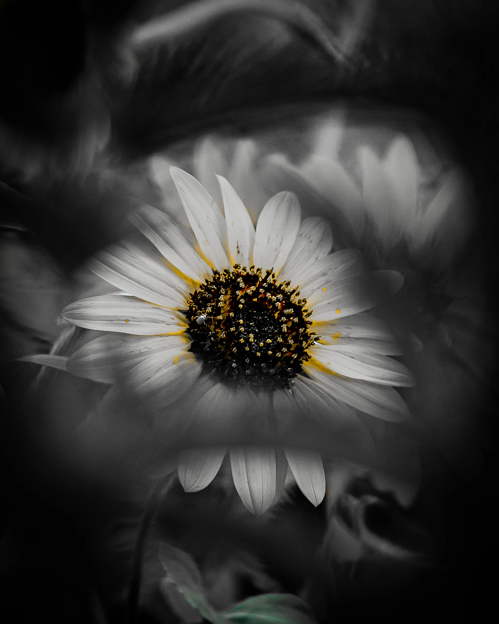 From the album: Nature