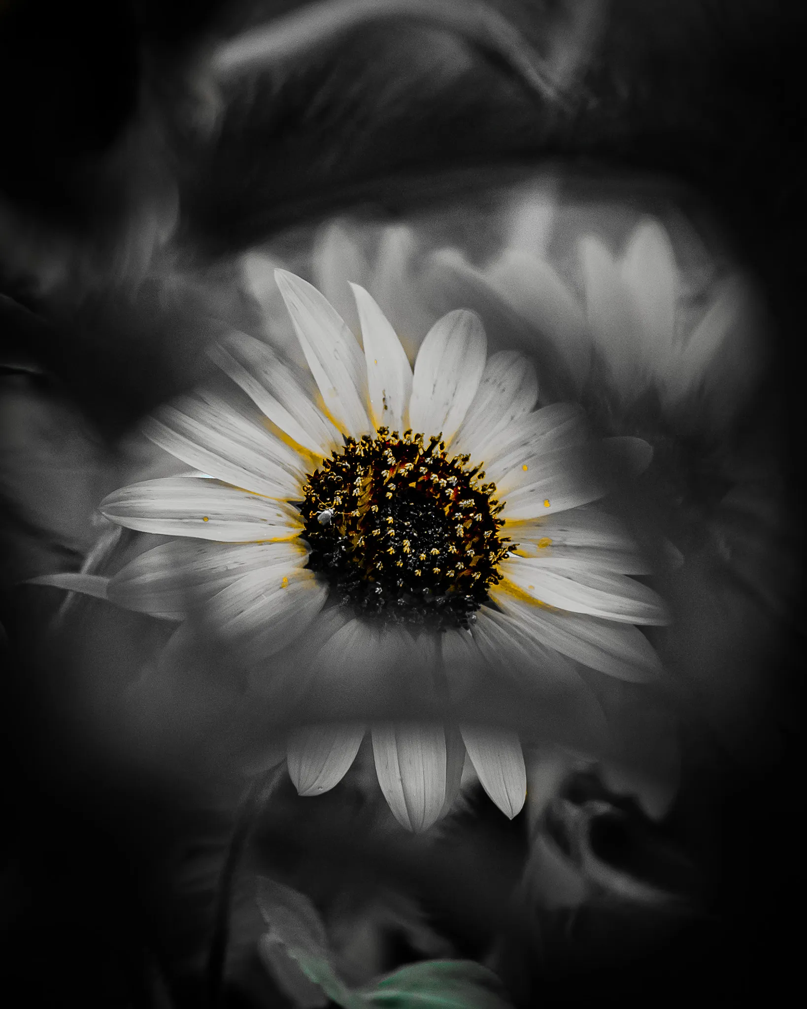 From the album: Nature