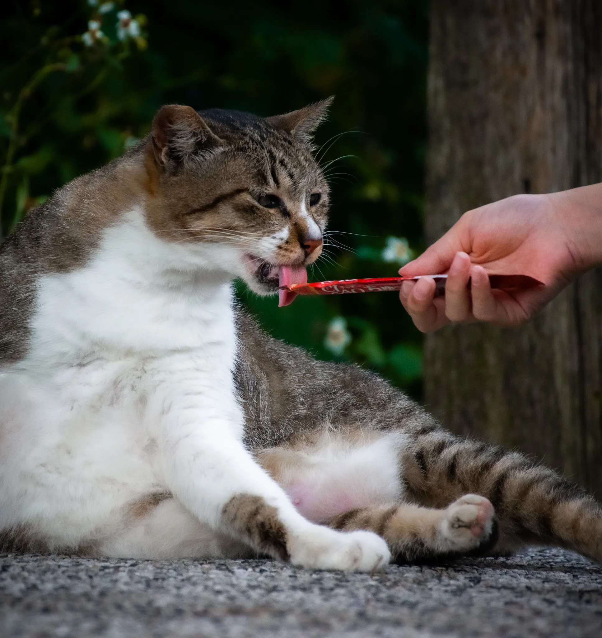 An image from the album: [Taipei]