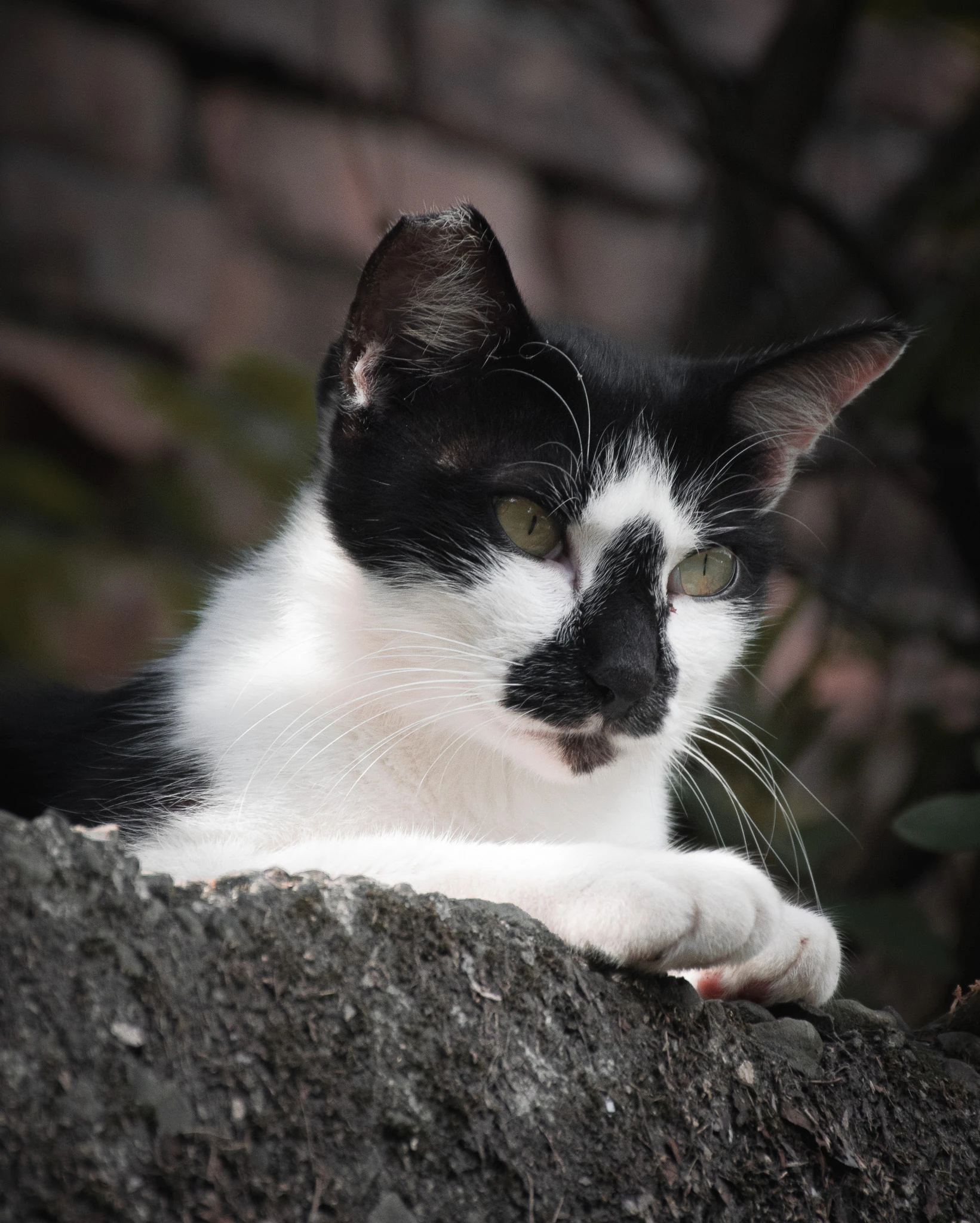 An image from the album: [Taipei]