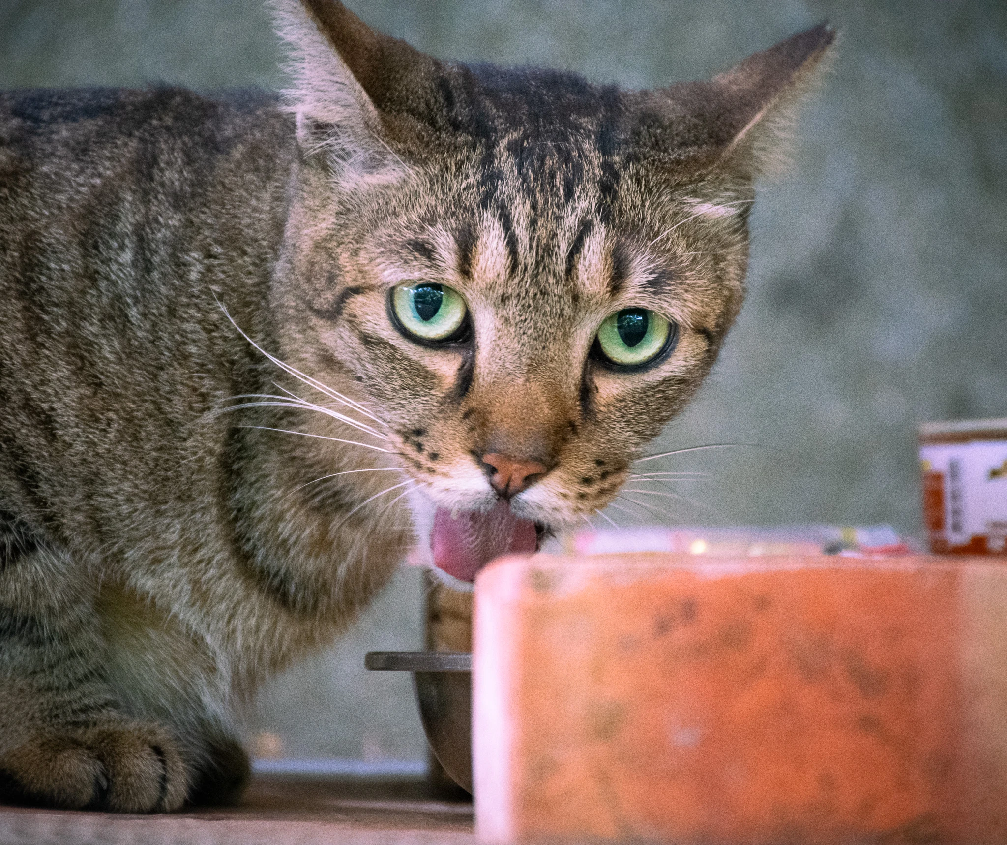 An image from the album: [Taipei]