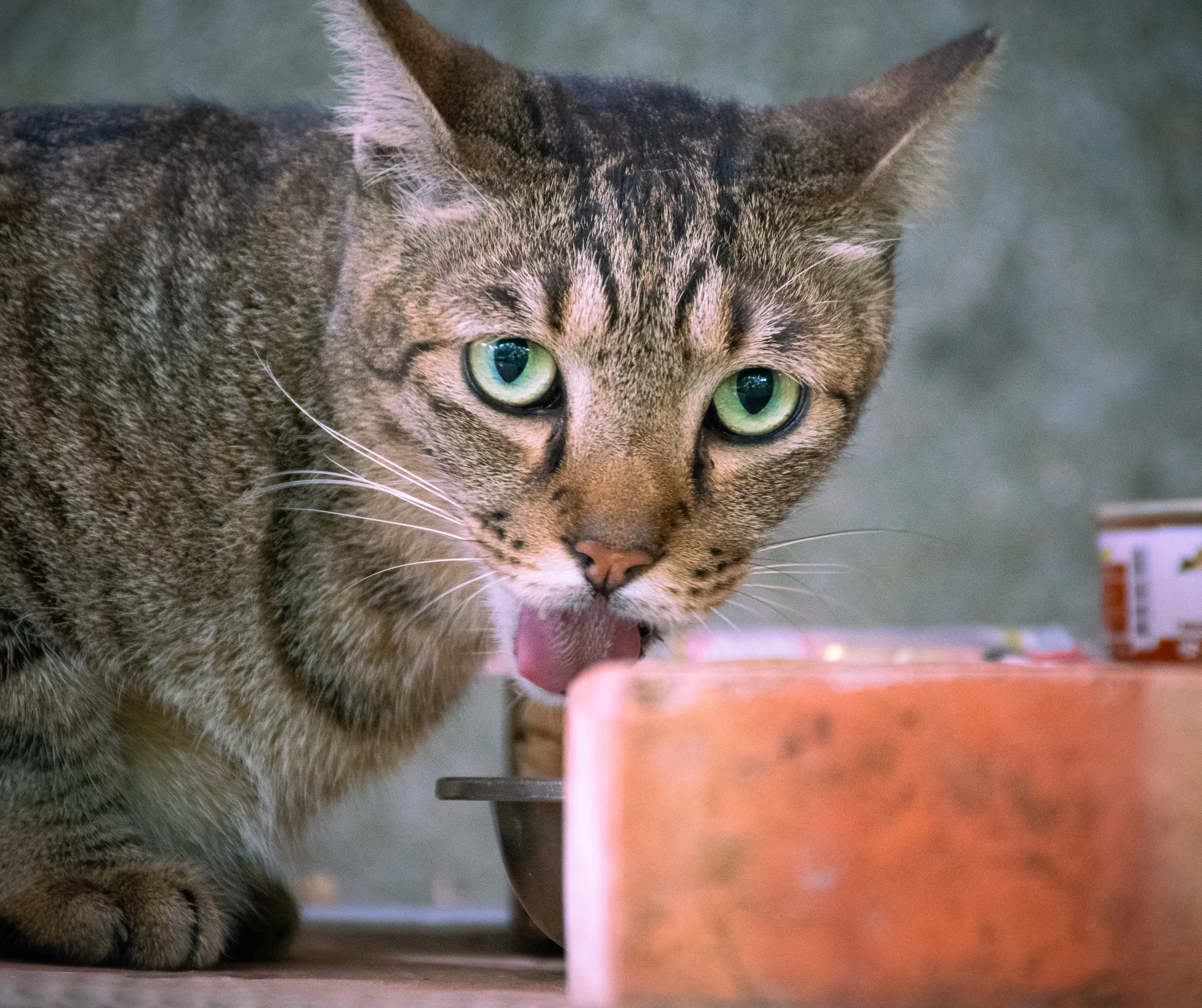 From the album: Taipei