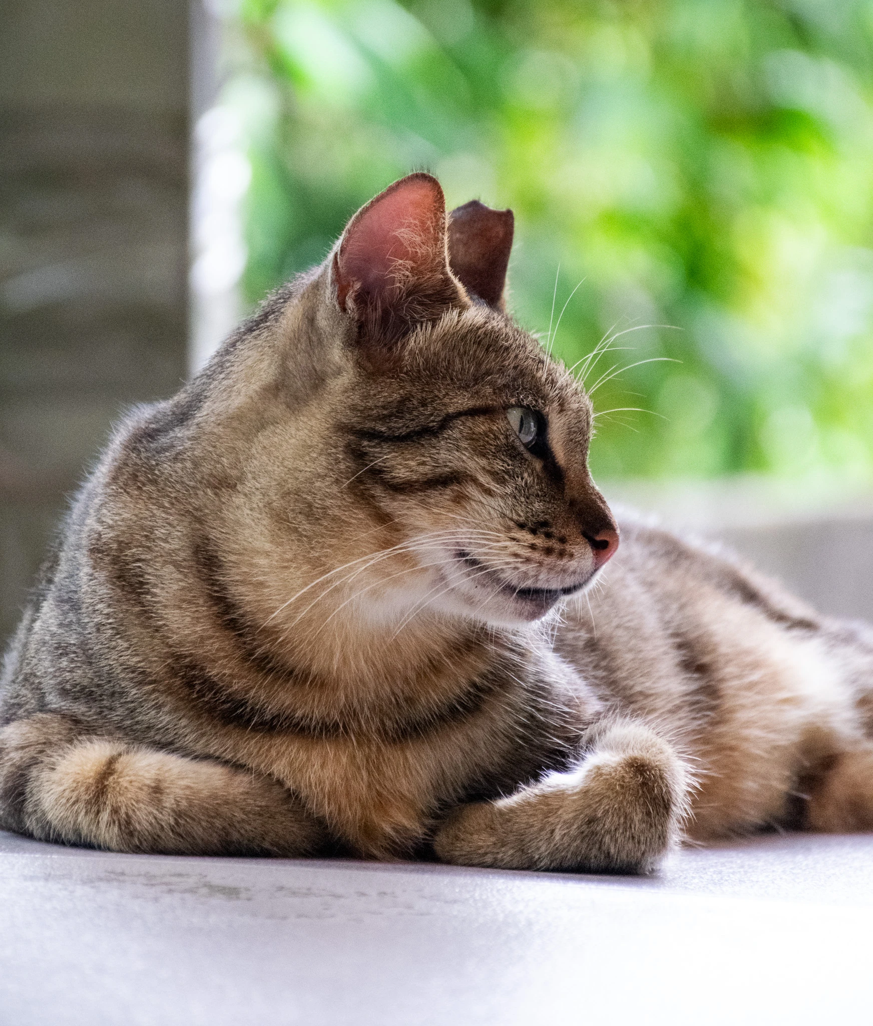 An image from the album: [Taipei]