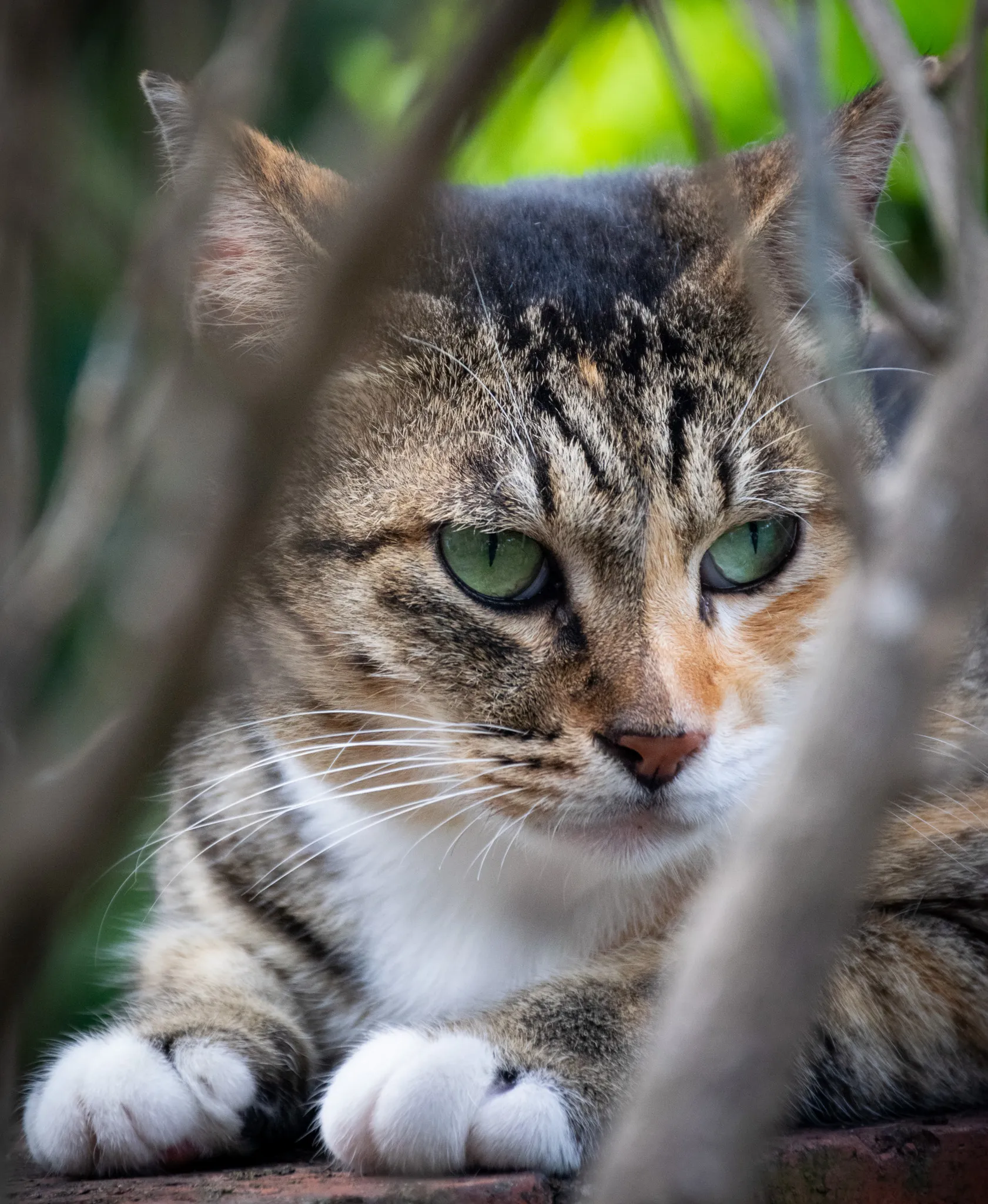 From the album: Taipei