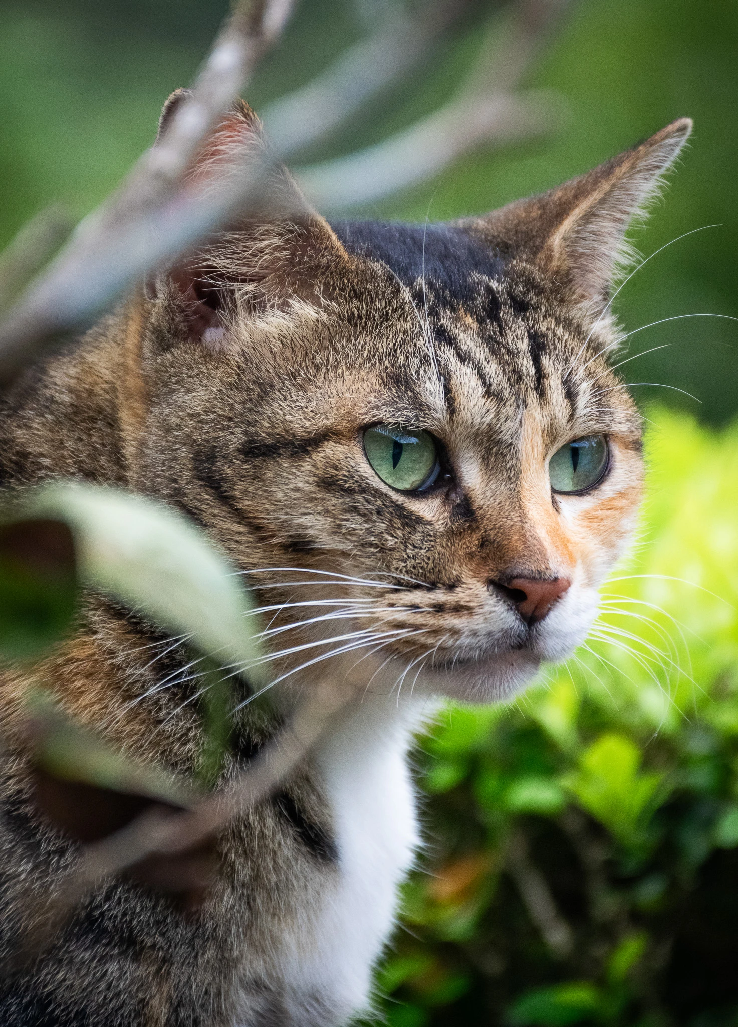 From the album: Taipei
