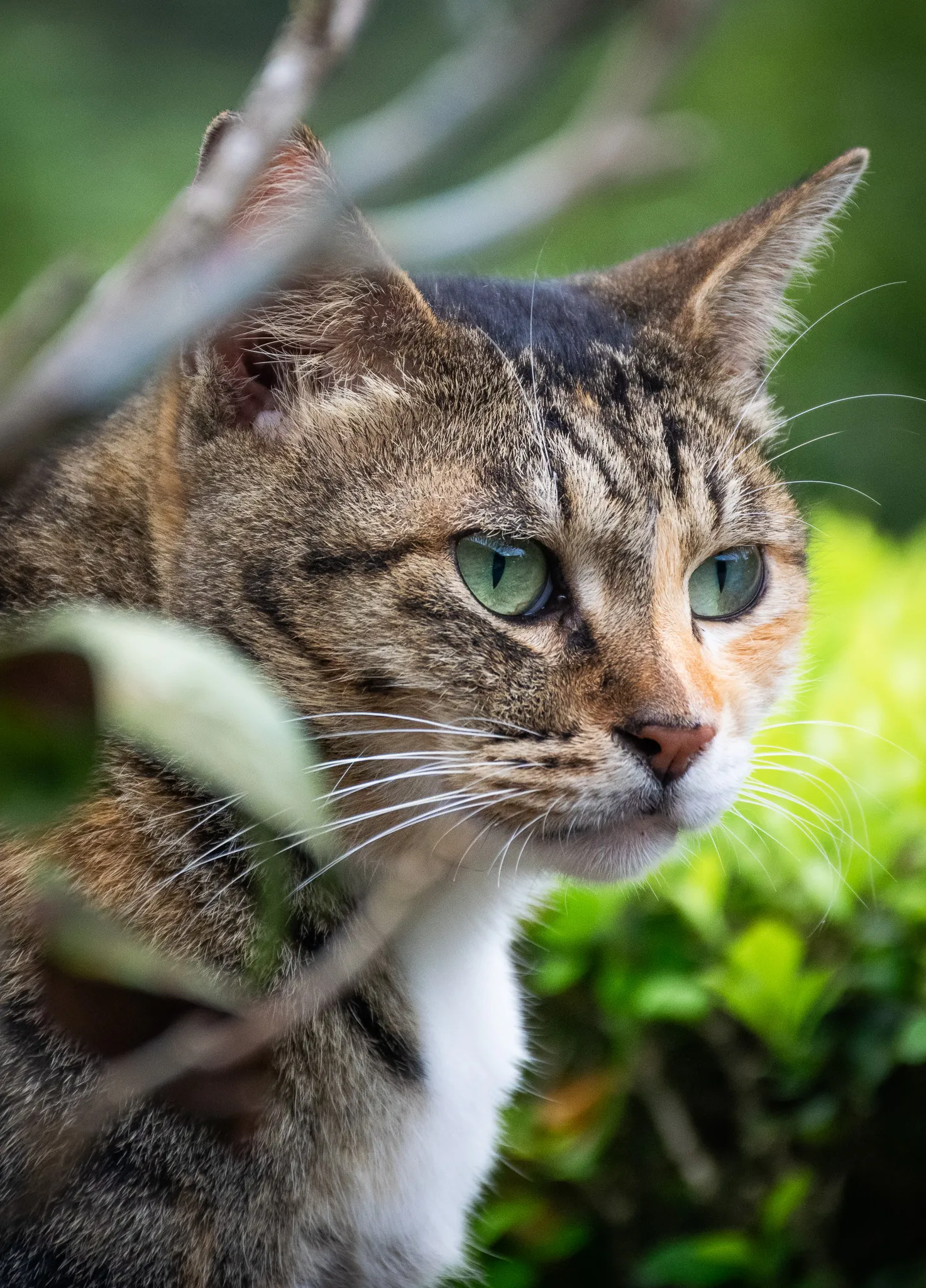 From the album: Taipei