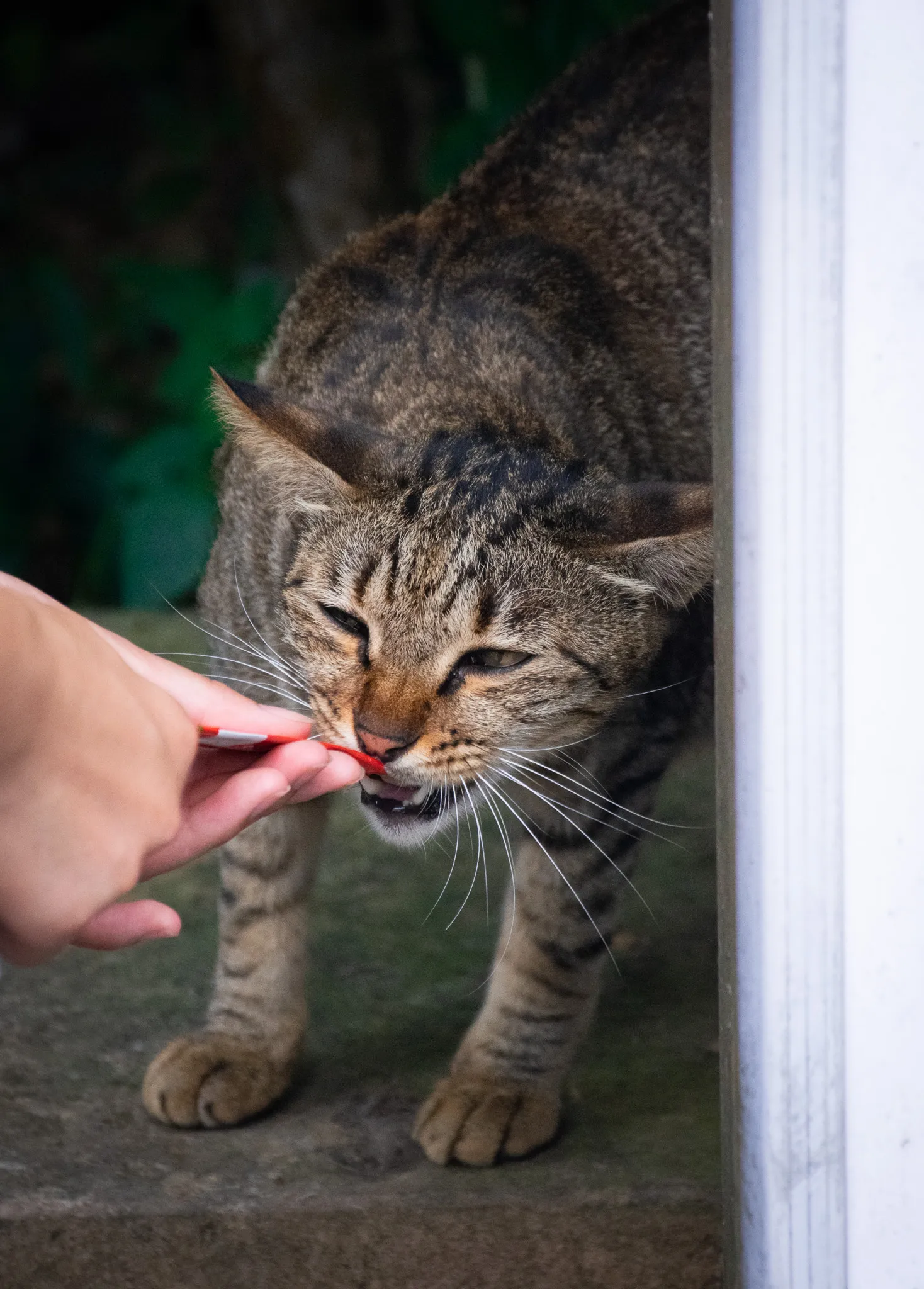 From the album: Taipei