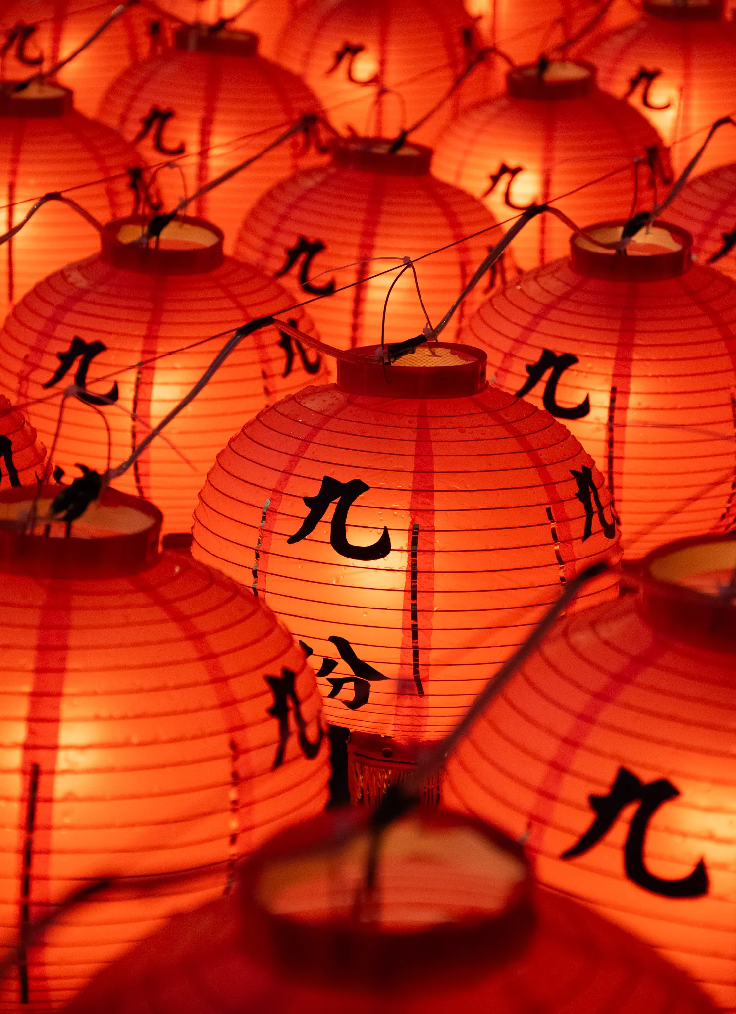 From the album: Taipei