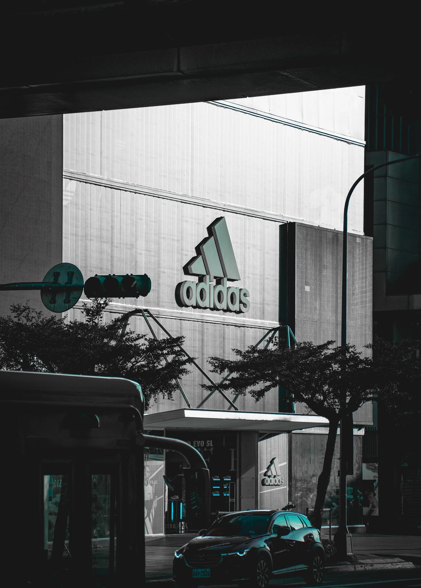 From the album: Taipei