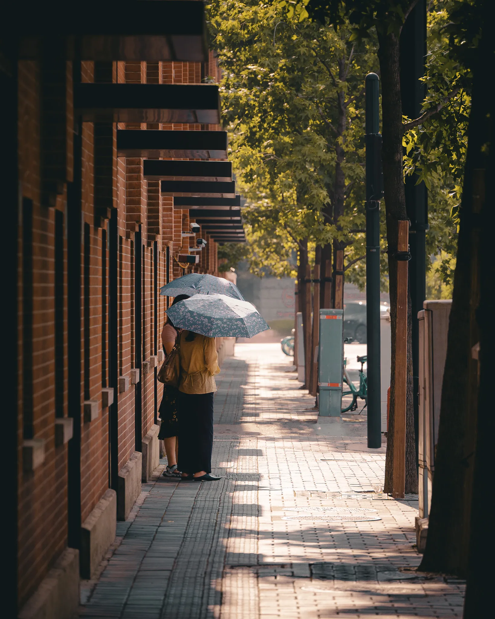 From the album: Shanghai