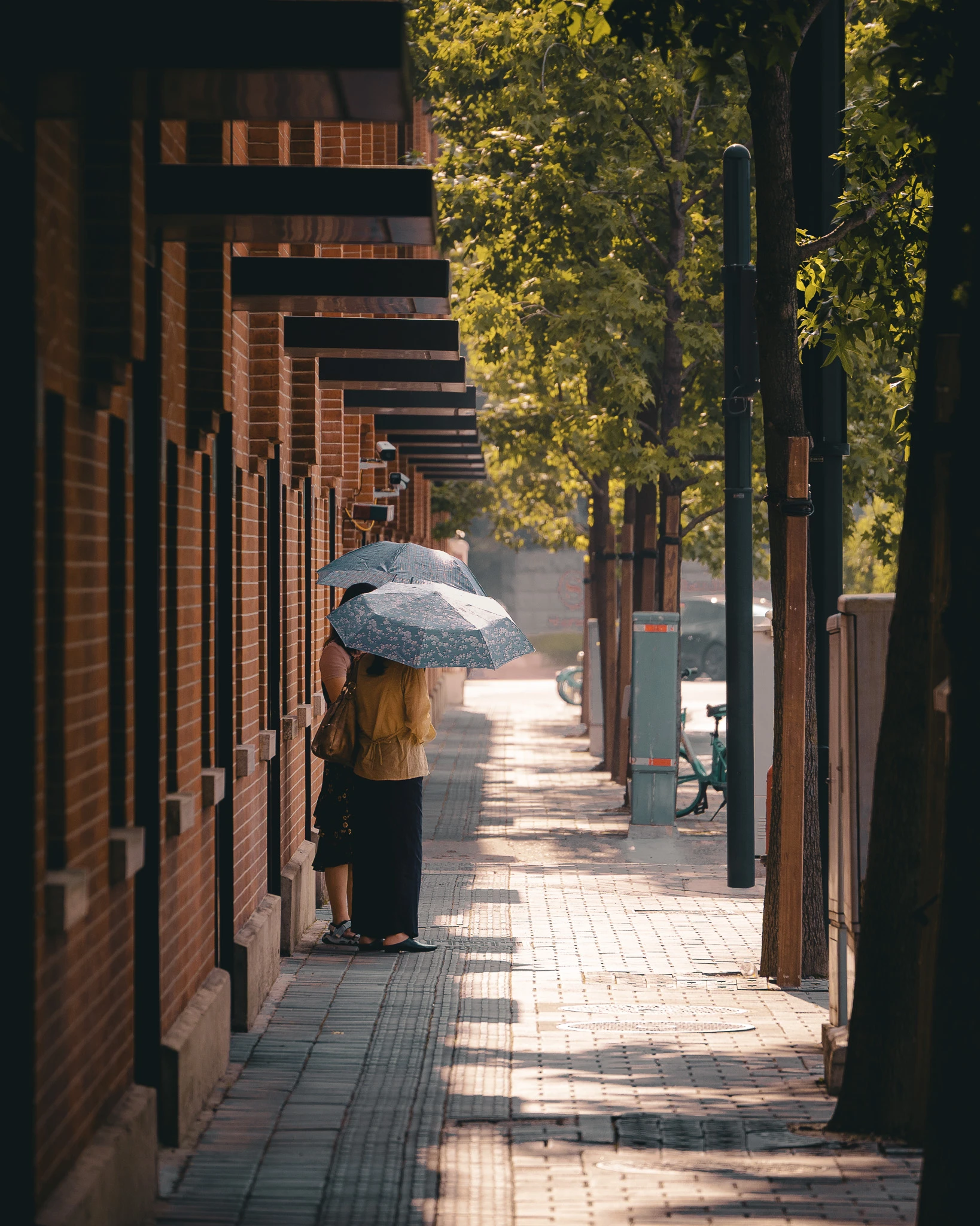 An image from the album: [Shanghai]