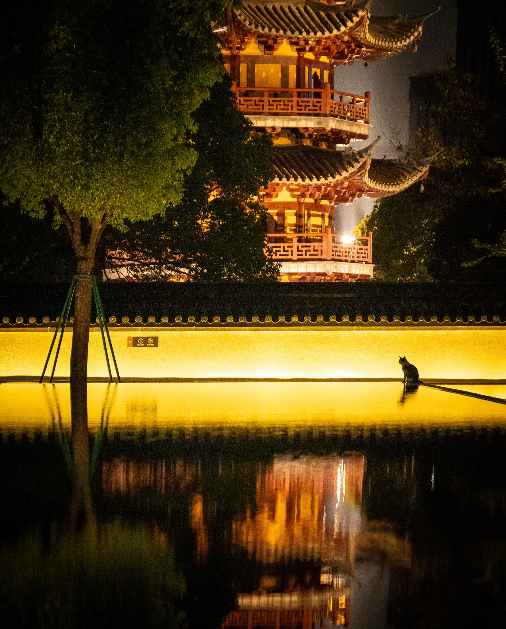 From the album: Shanghai