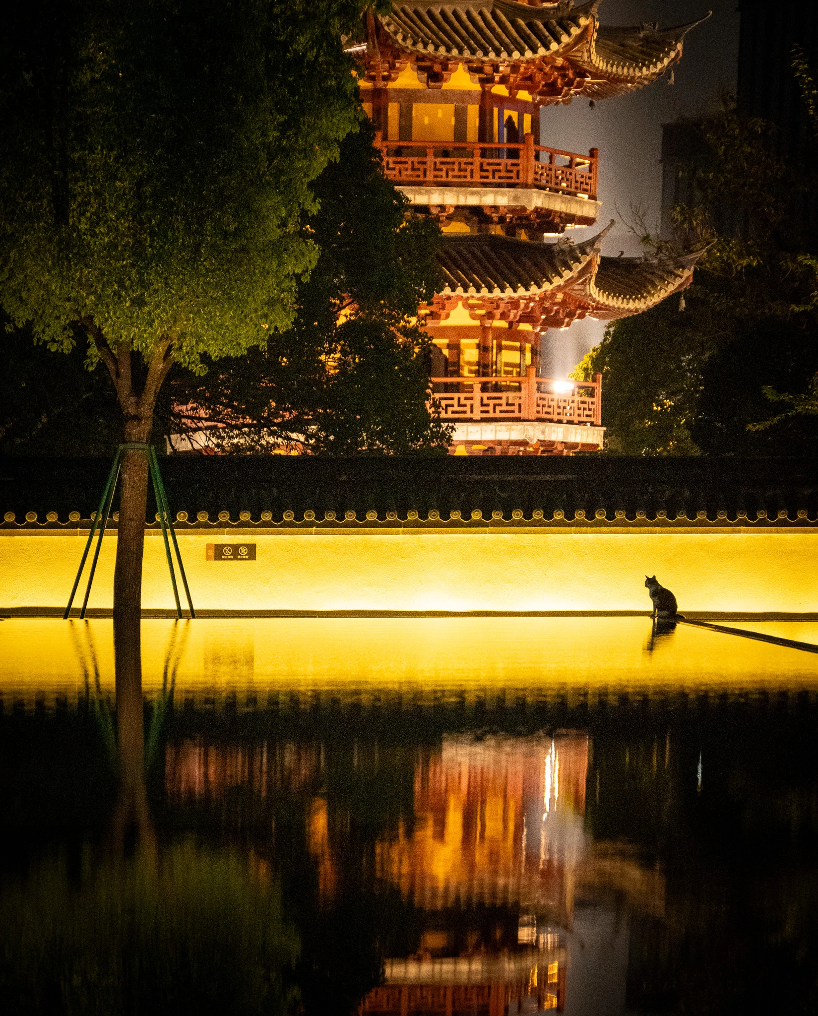 From the album: Shanghai