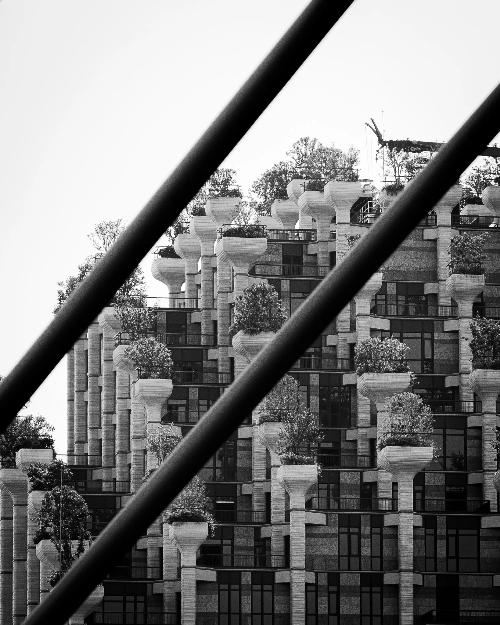 From the album: Shanghai