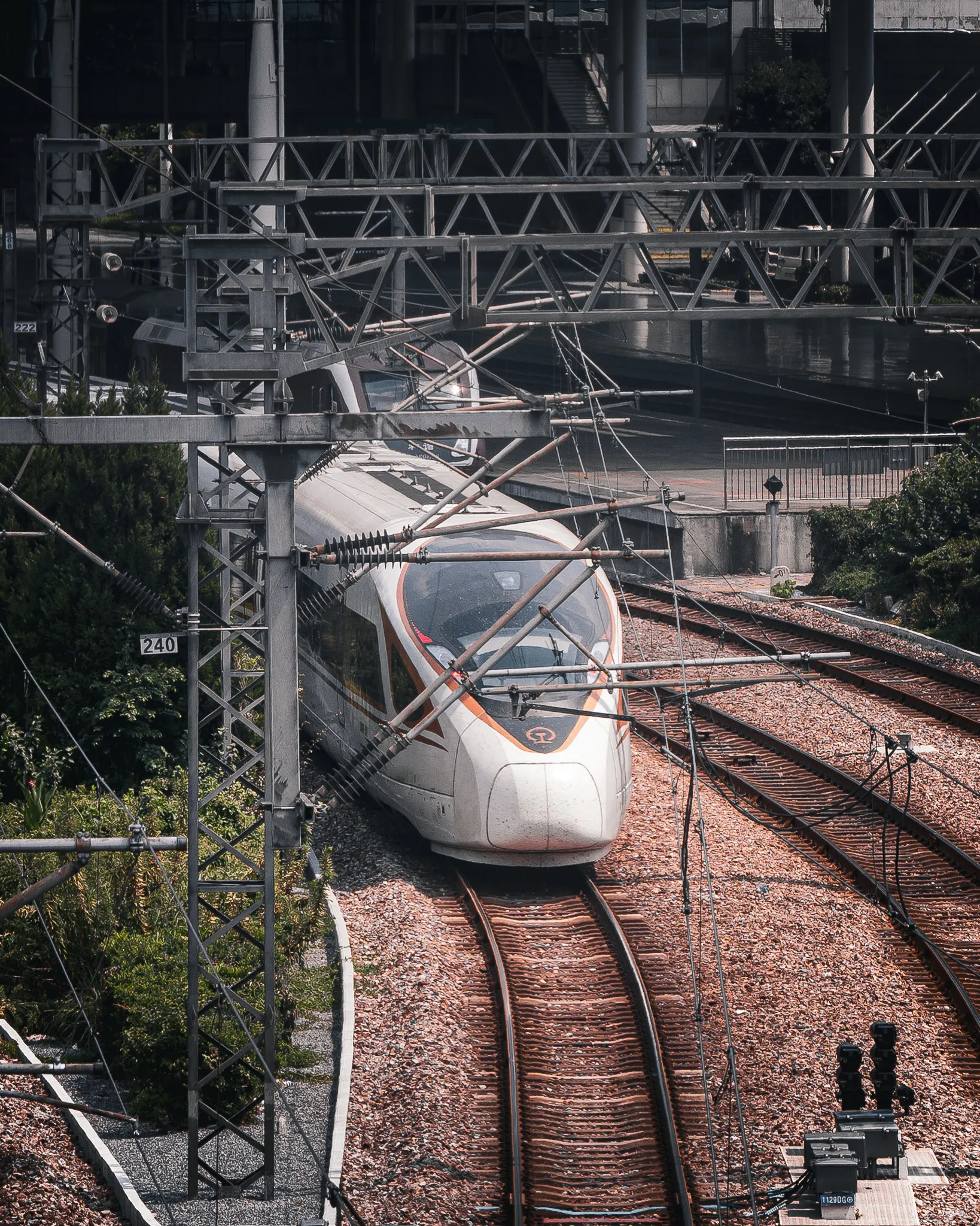 From the album: Shanghai