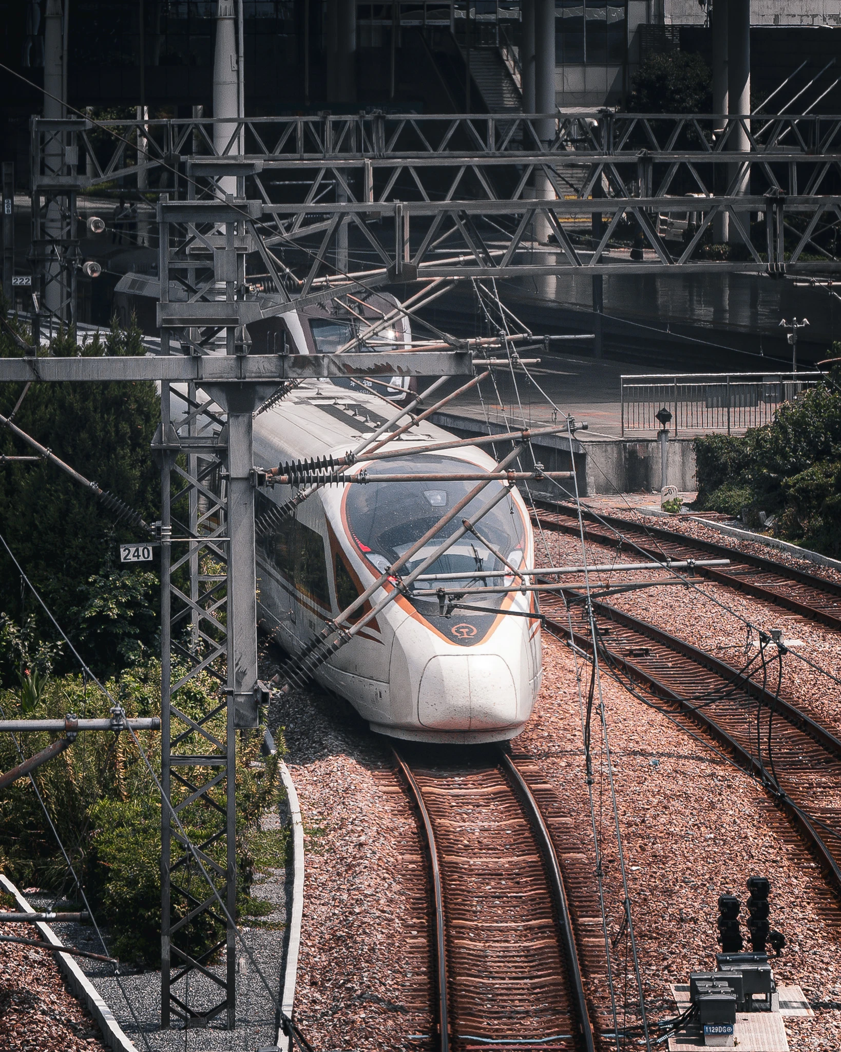 An image from the album: [Shanghai]