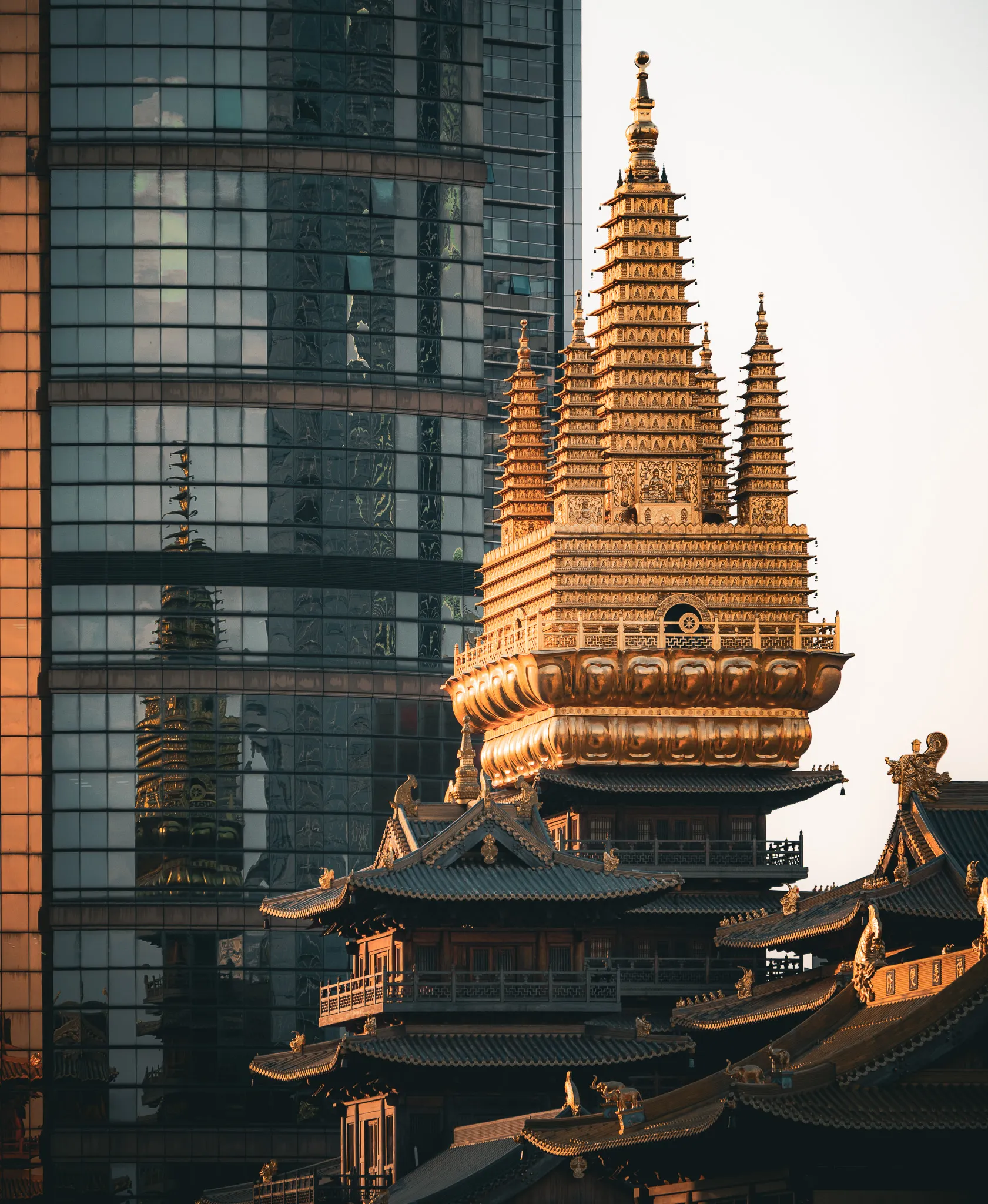 An image from the album: [Shanghai]