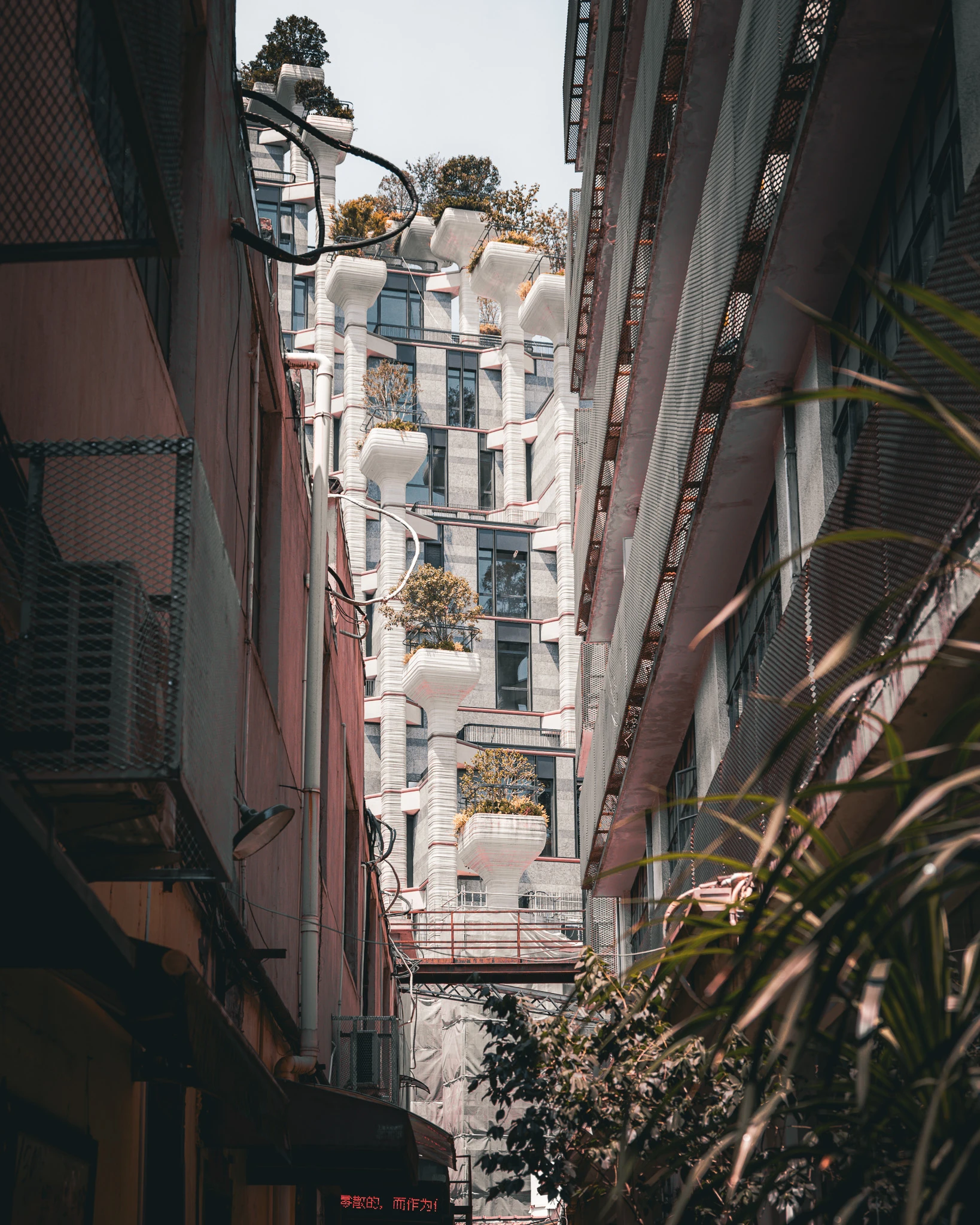 An image from the album: [Shanghai]