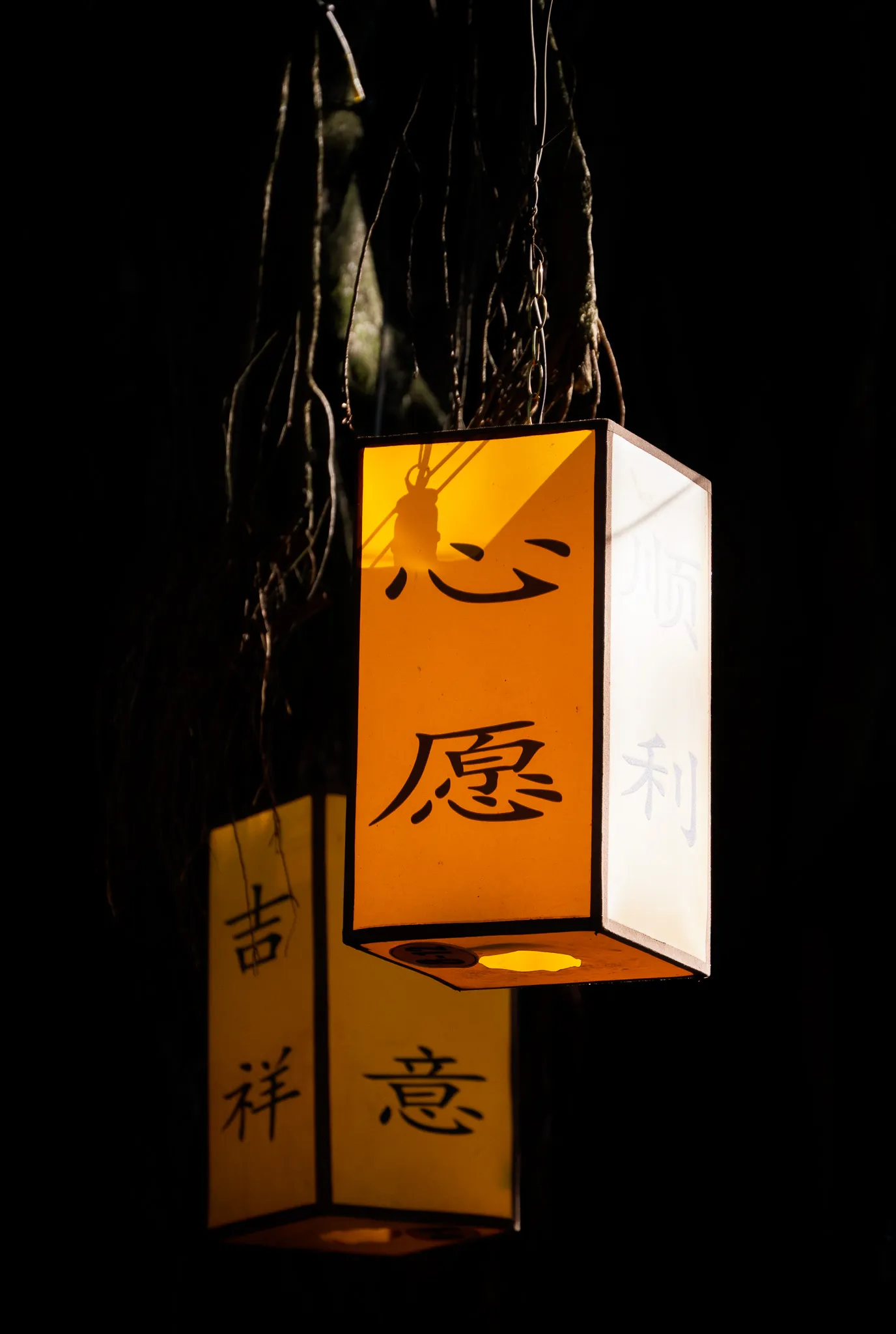 An image from the album: [Guangzhou]