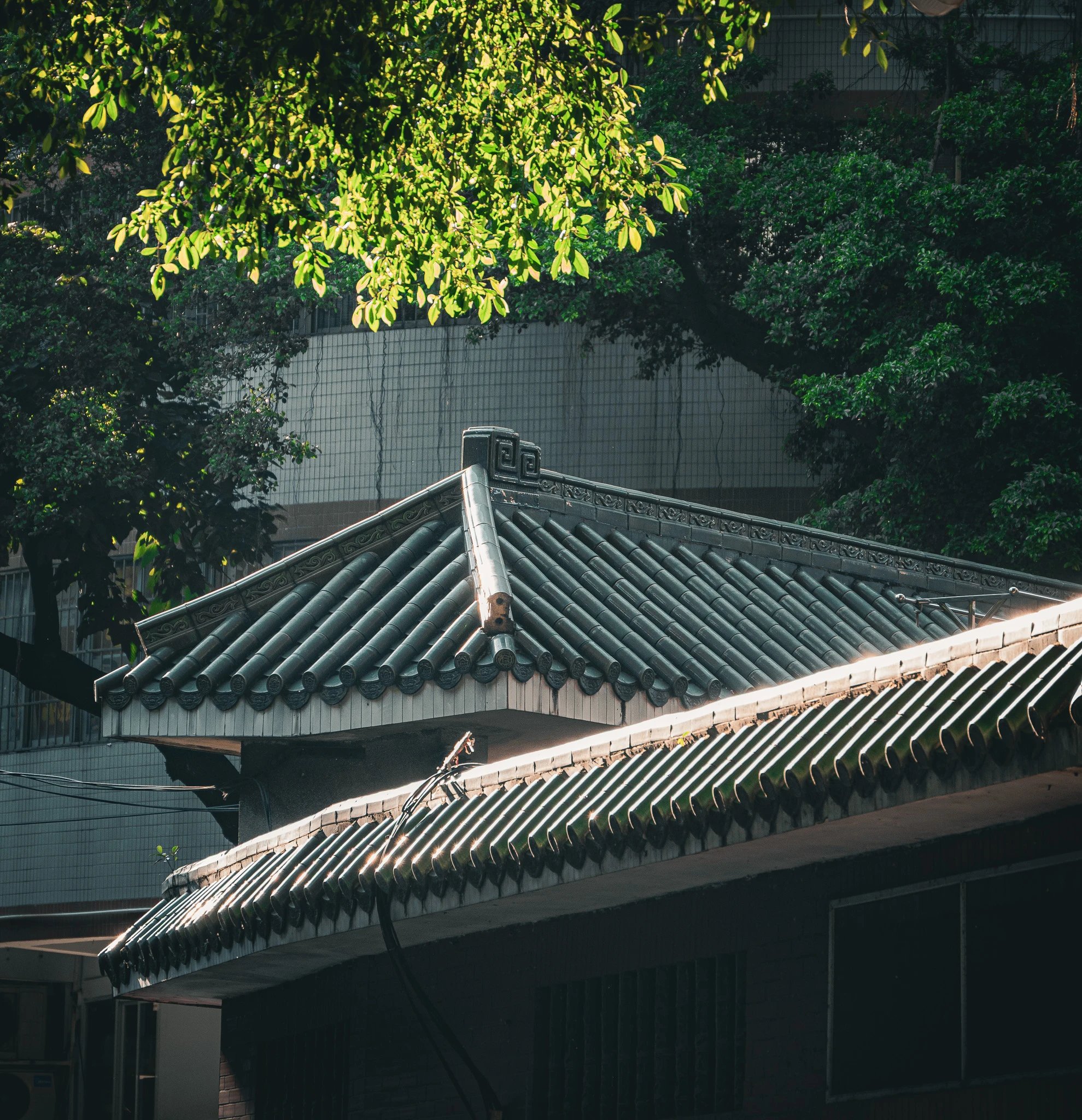 An image from the album: [Guangzhou]