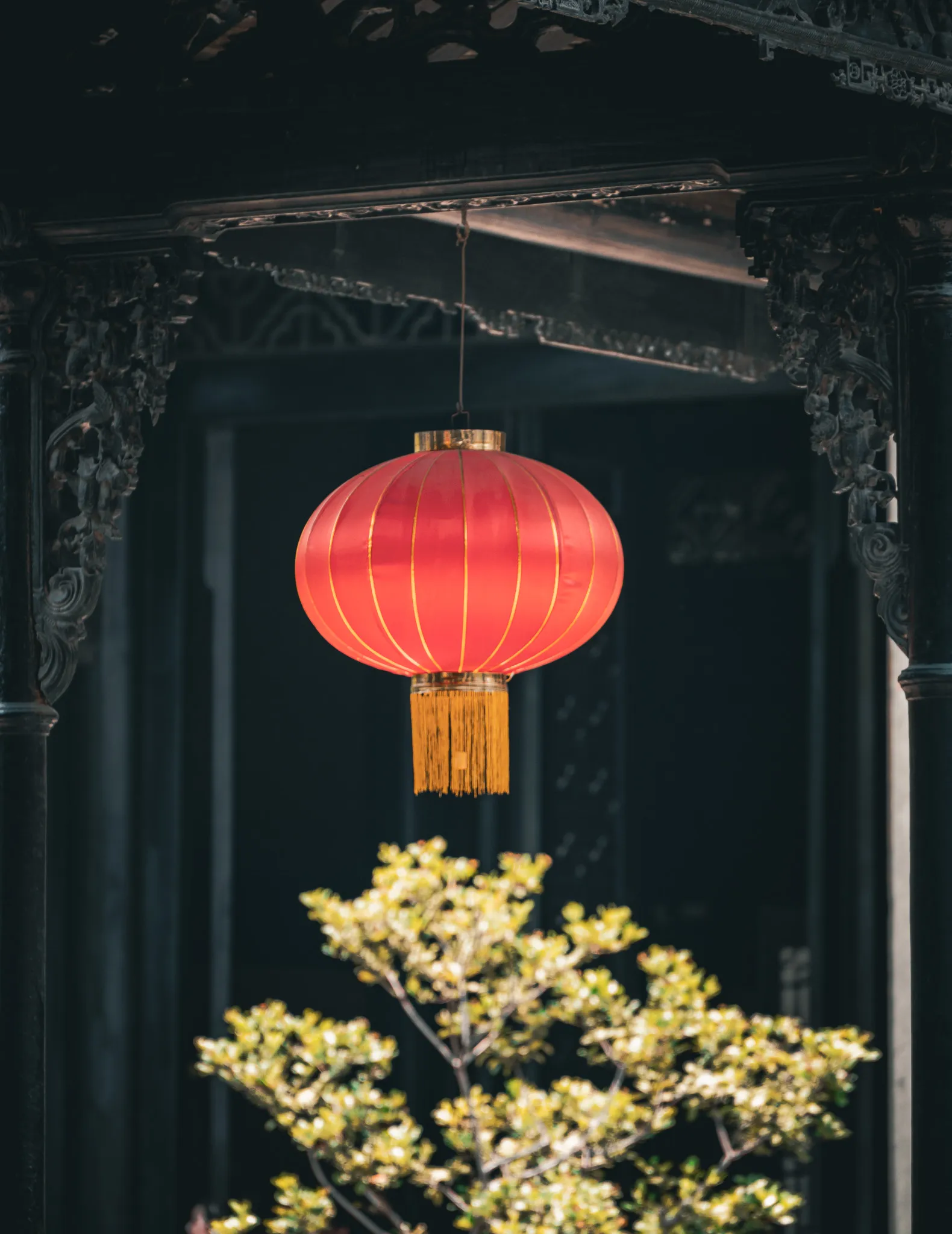 An image from the album: [Guangzhou]