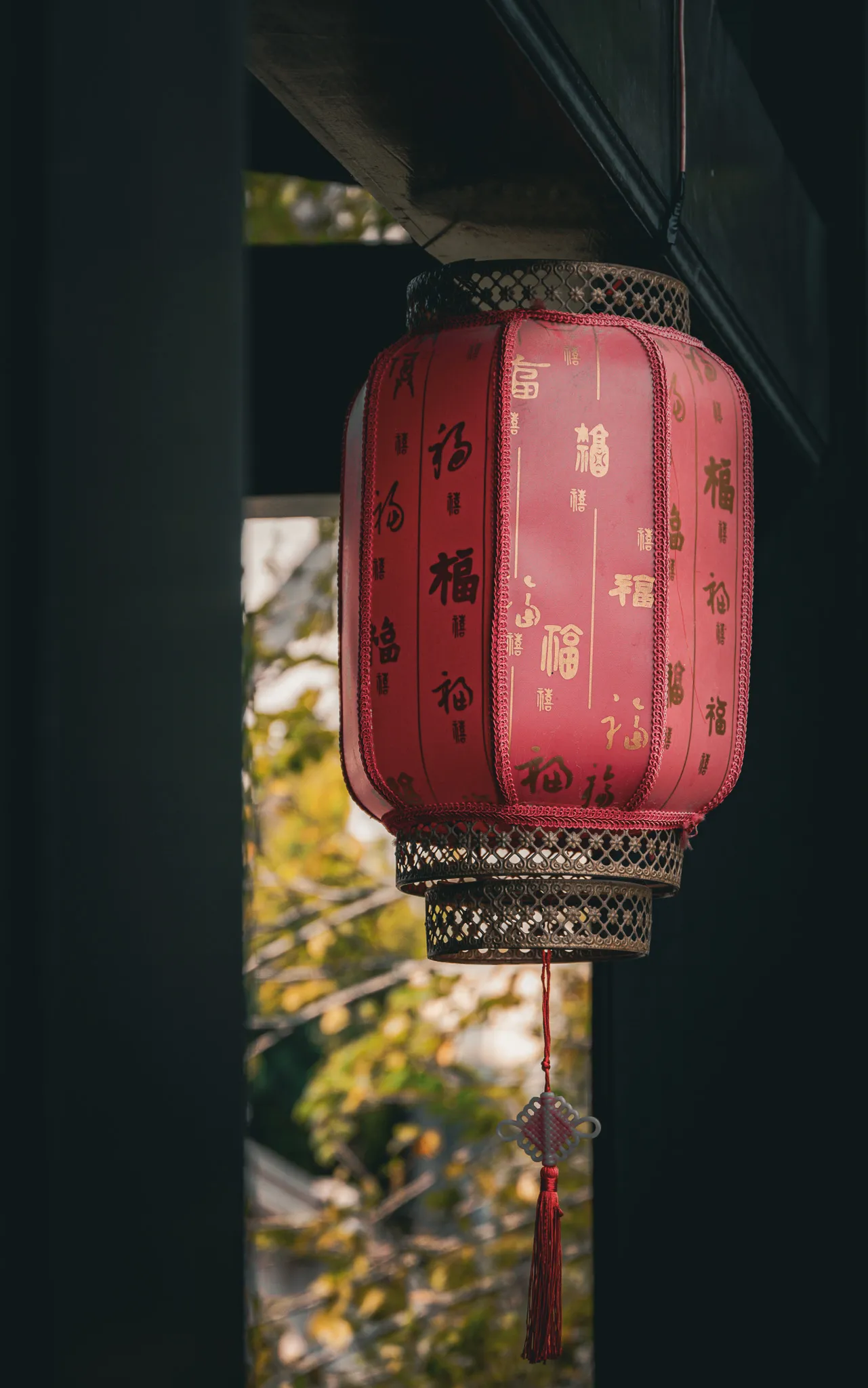 From the album: Guangzhou